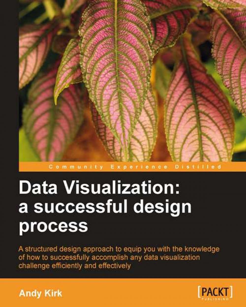 Big bigCover of Data Visualization: a successful design process