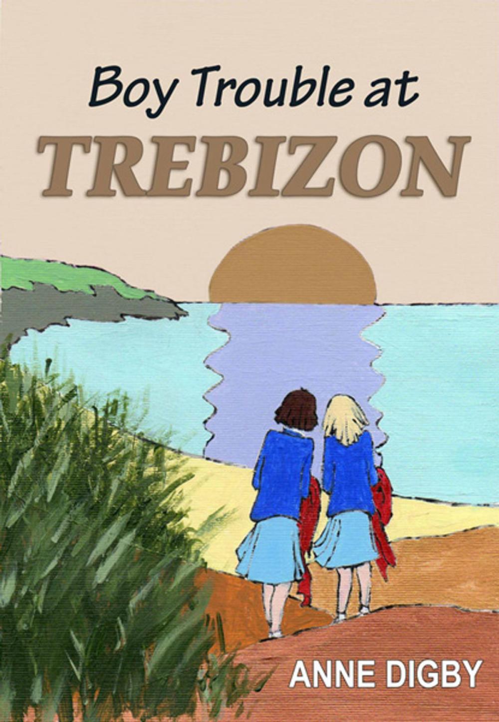 Big bigCover of BOY TROUBLE AT TREBIZON