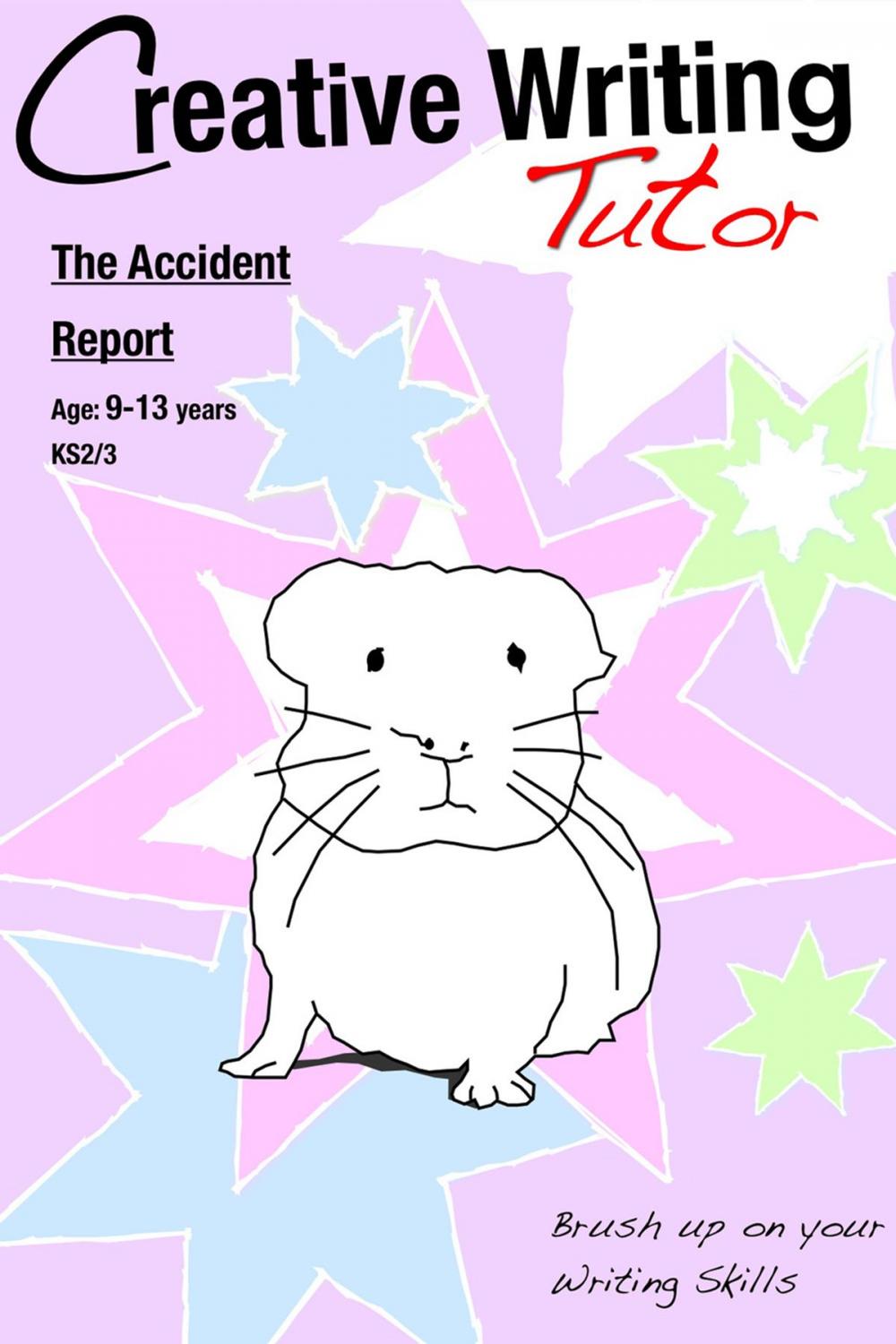 Big bigCover of The Accident Report