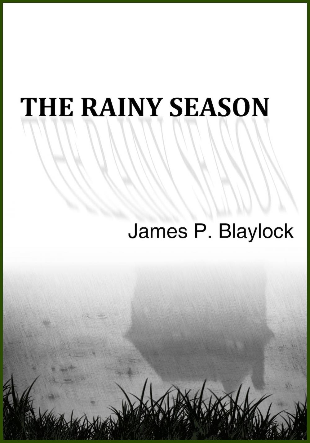 Big bigCover of The Rainy Season