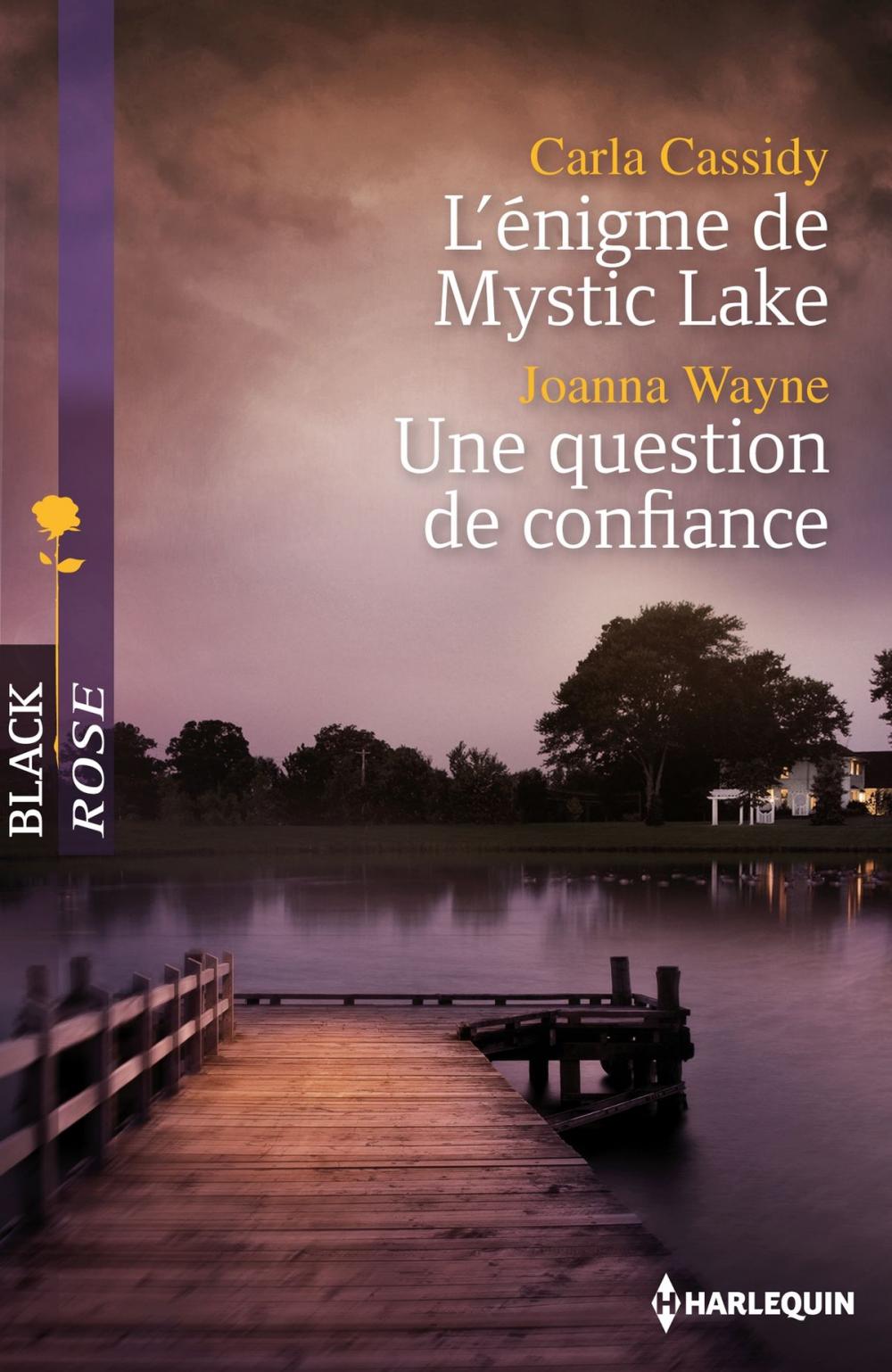 Big bigCover of L'énigme de Mystic Lake - Une question de confiance