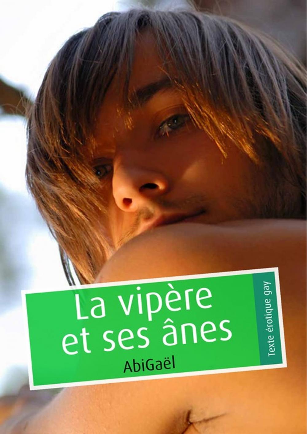 Big bigCover of La vipère et ses ânes (pulp gay)