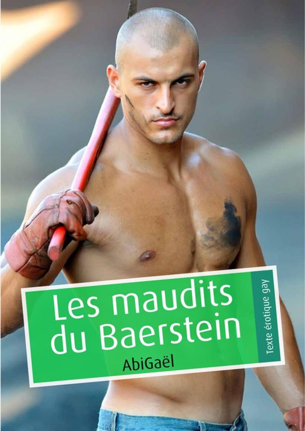 Big bigCover of Les maudits du Baerstein