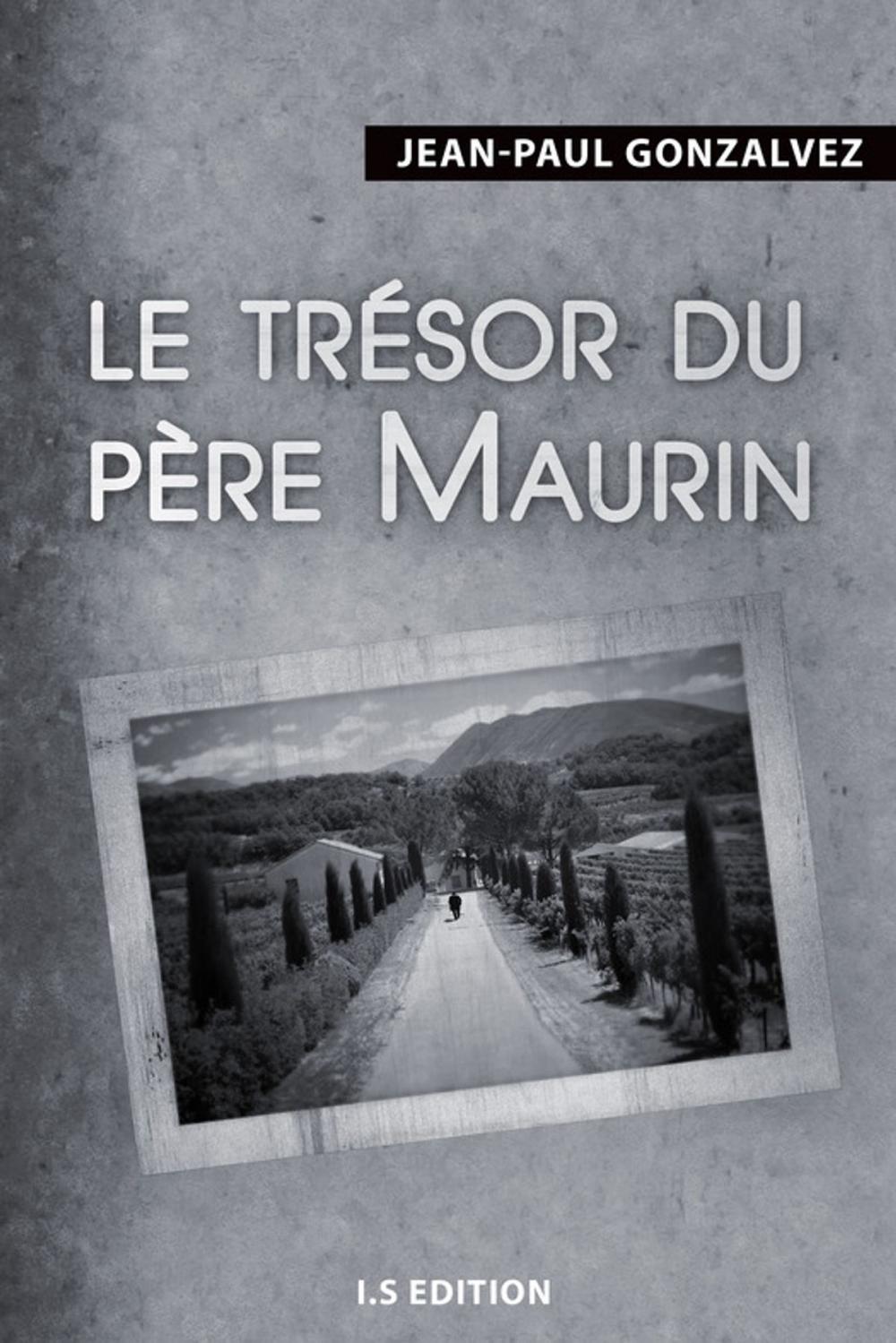 Big bigCover of Le trésor du père Maurin