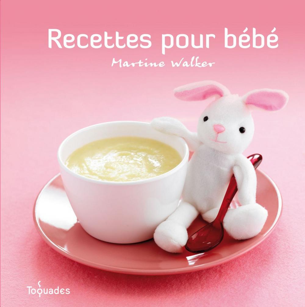 Big bigCover of Recettes pour bébé