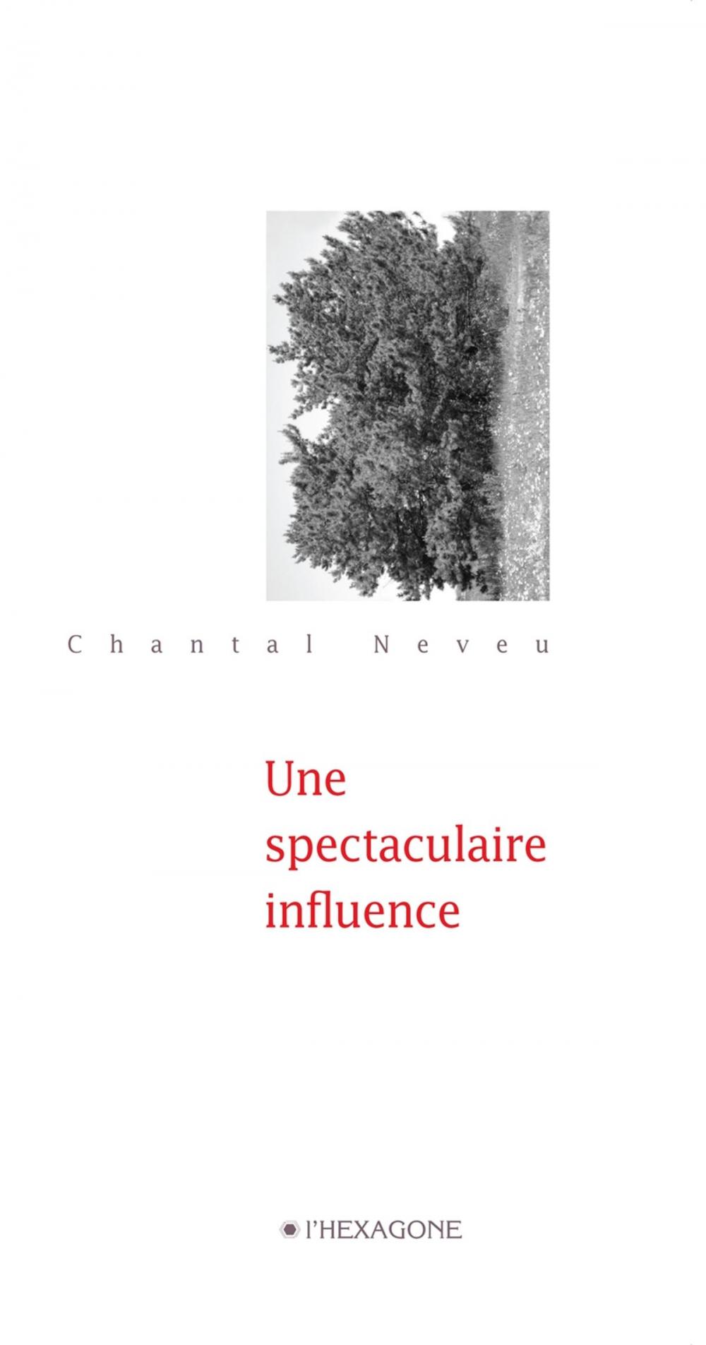 Big bigCover of Une spectaculaire influence