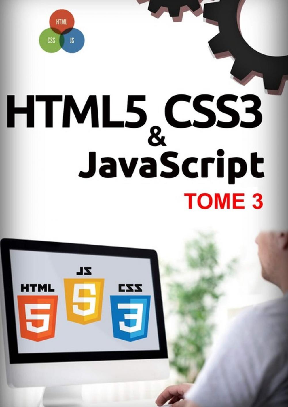 Big bigCover of HTML5, CSS3, JavaScript Tome 3