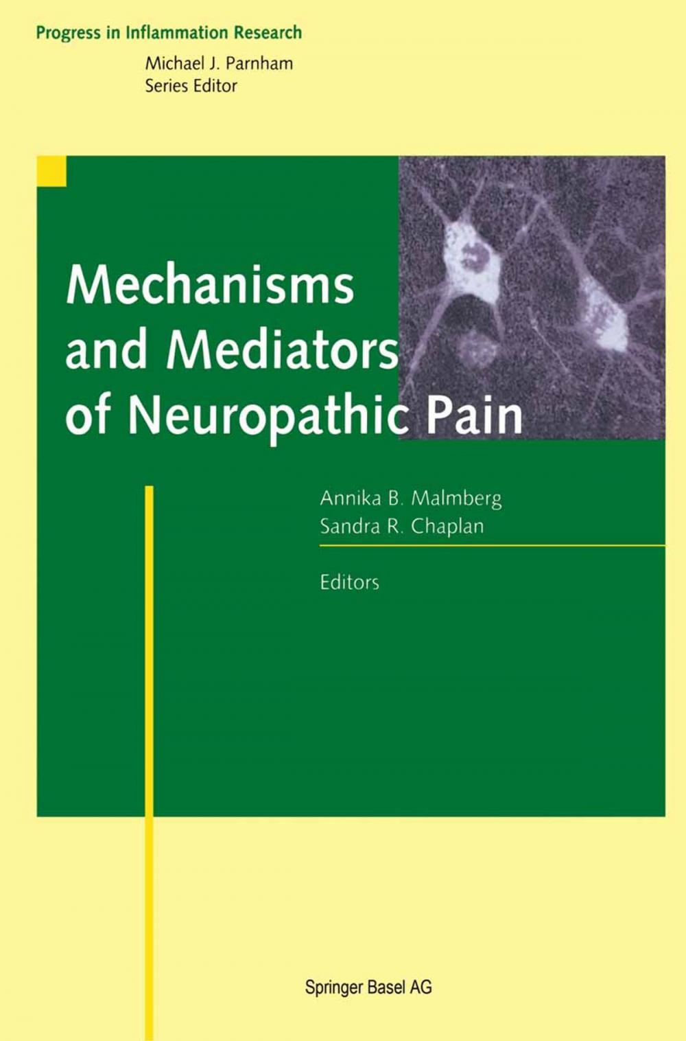 Big bigCover of Mechanisms and Mediators of Neuropathic Pain