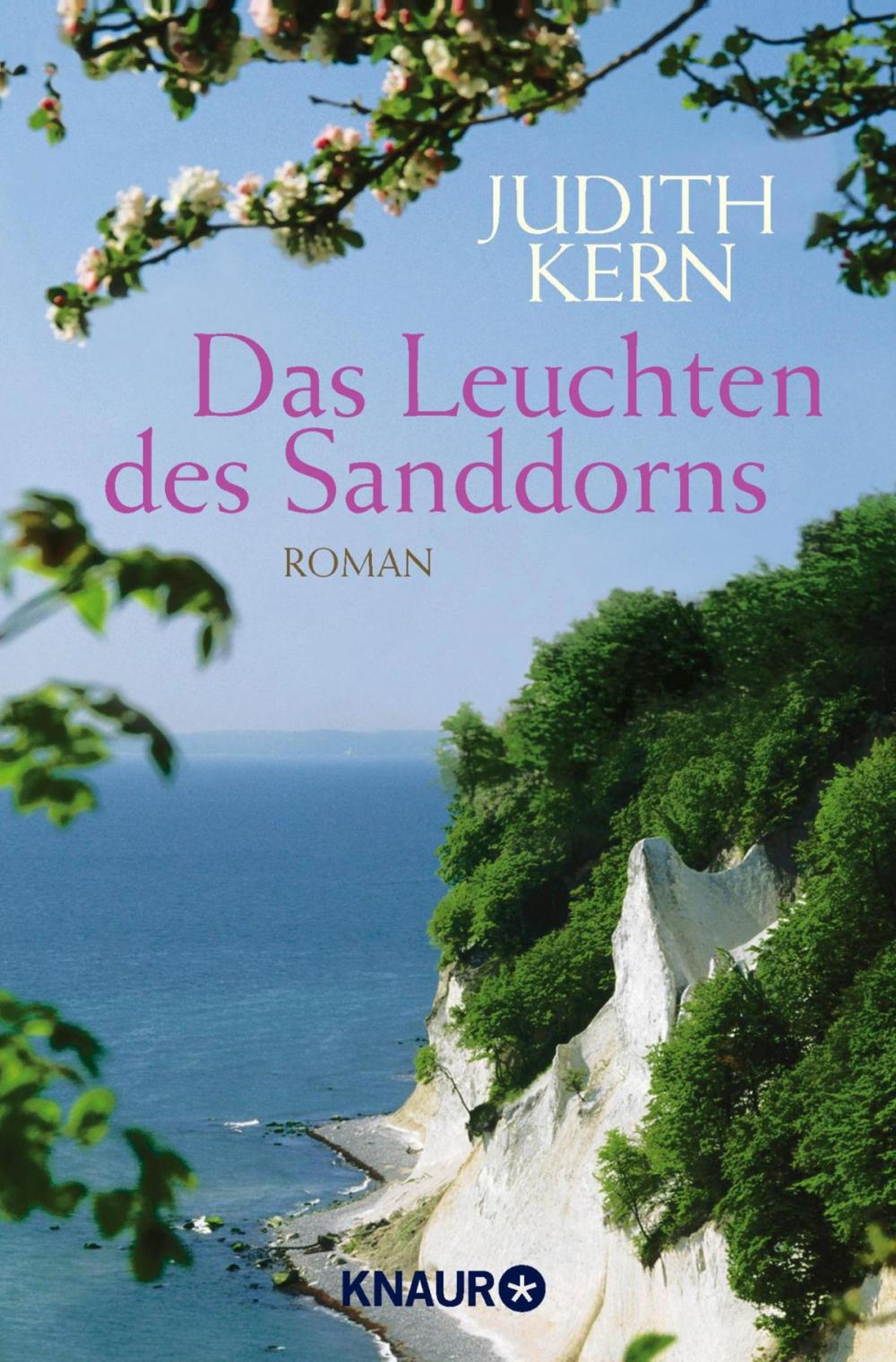 Big bigCover of Das Leuchten des Sanddorns