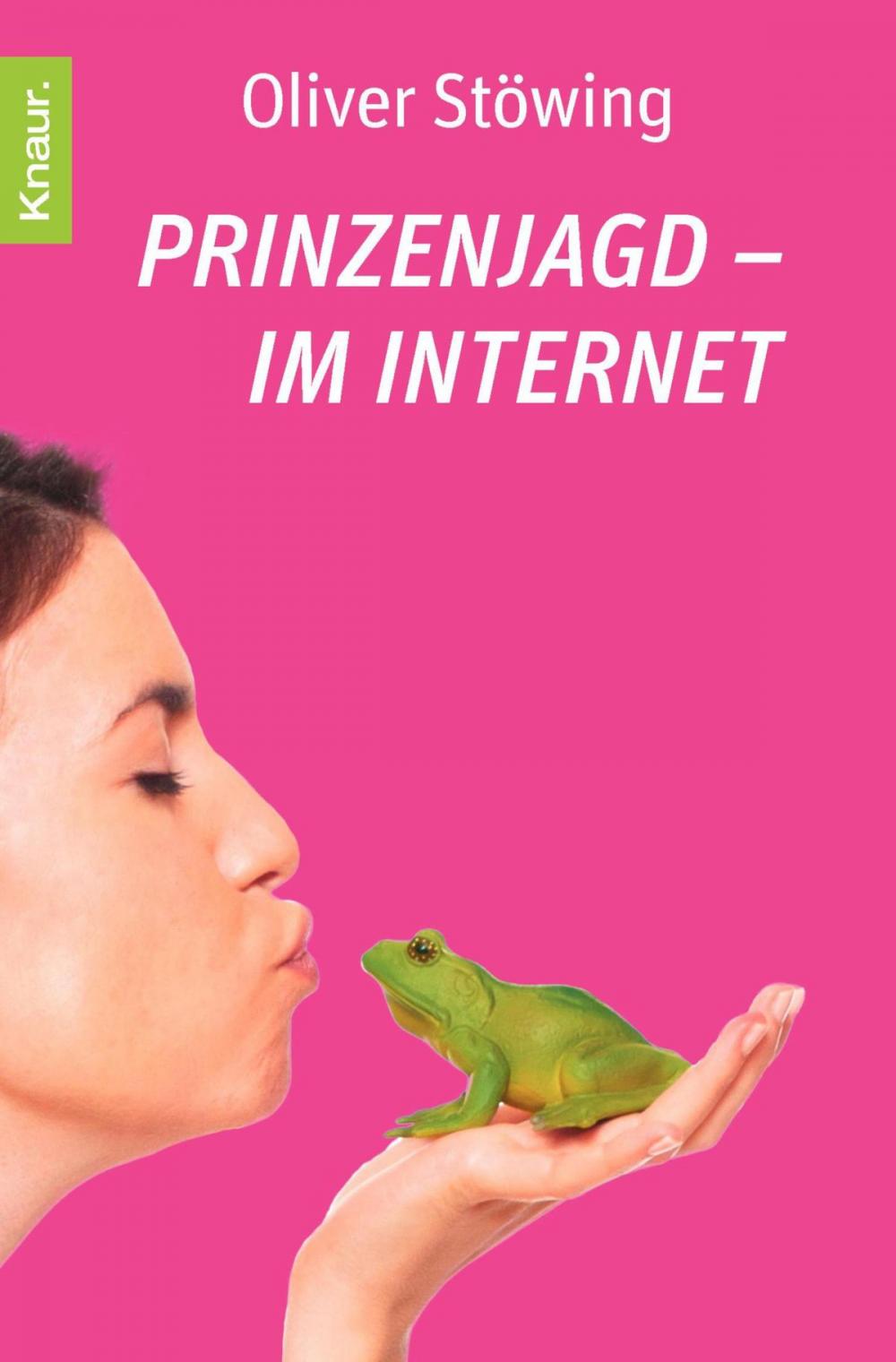 Big bigCover of Prinzenjagd im Internet