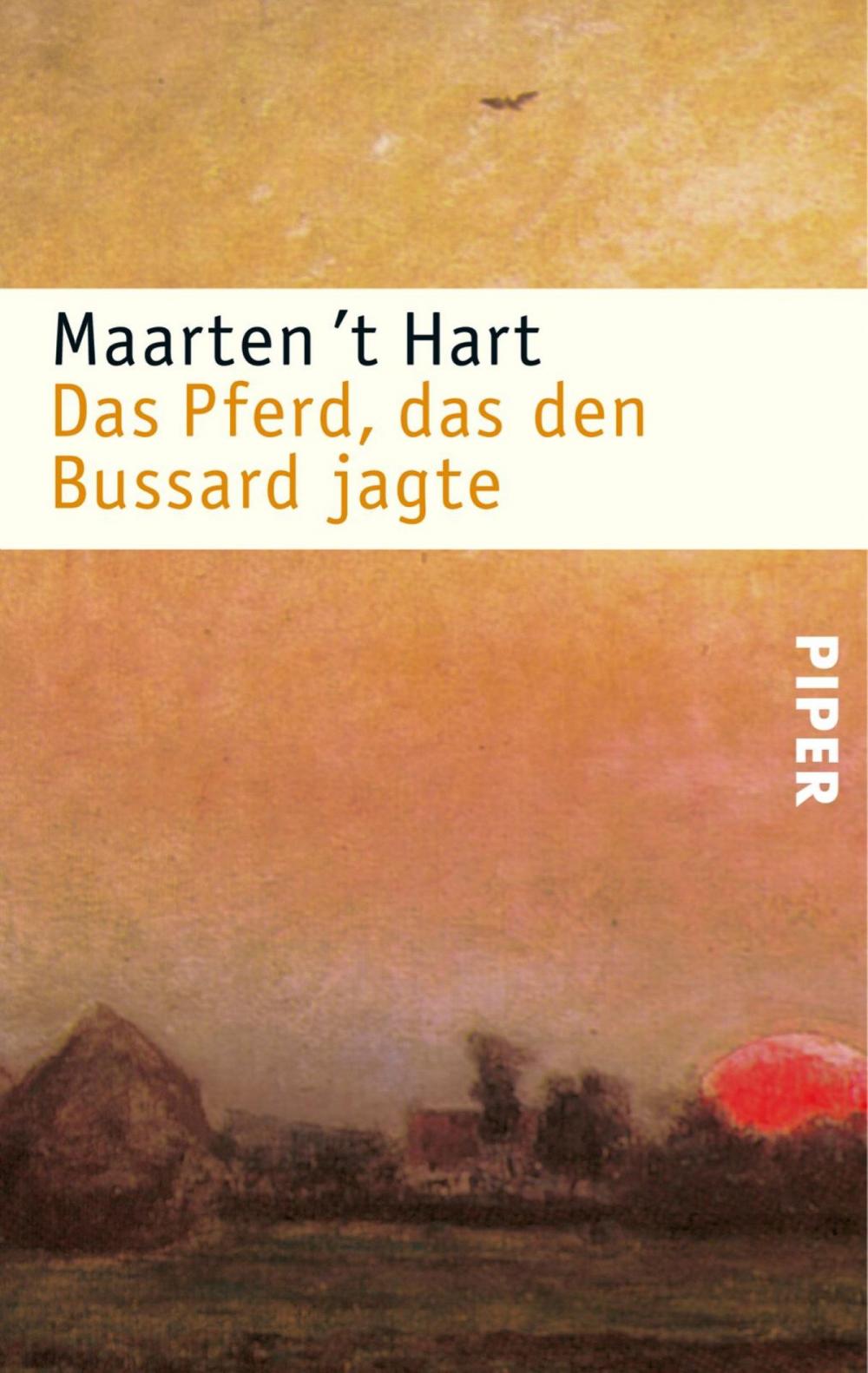 Big bigCover of Das Pferd, das den Bussard jagte