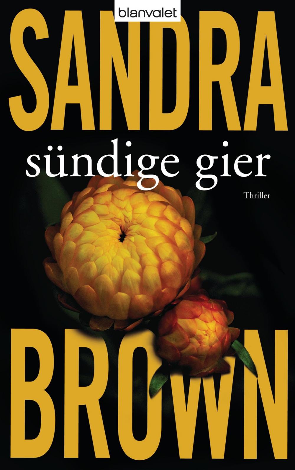 Big bigCover of Sündige Gier