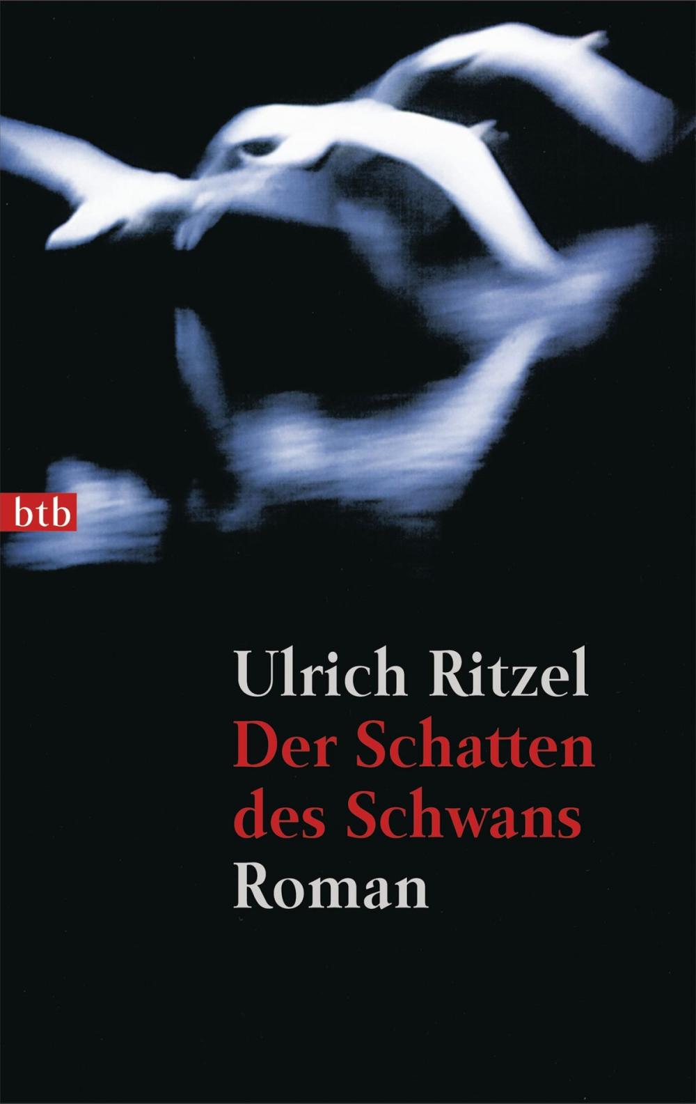 Big bigCover of Der Schatten des Schwans