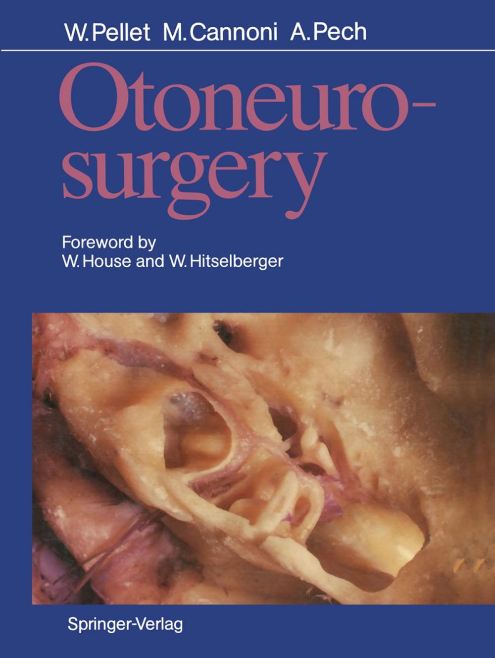 Big bigCover of Otoneurosurgery