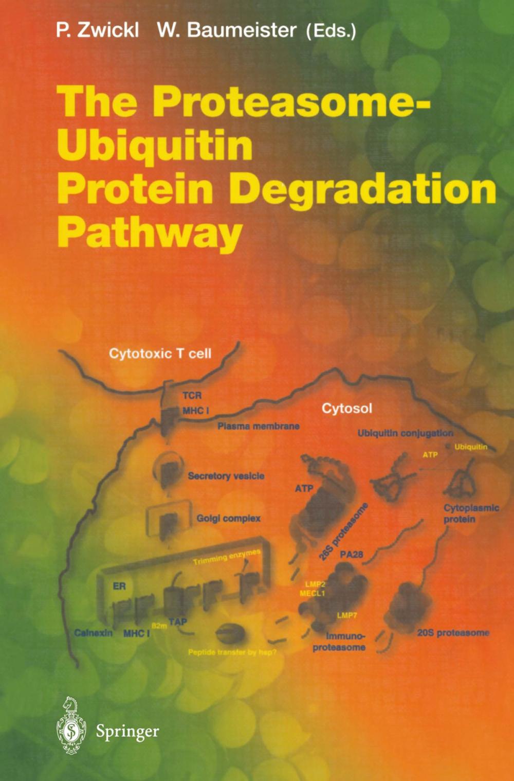 Big bigCover of The Proteasome — Ubiquitin Protein Degradation Pathway