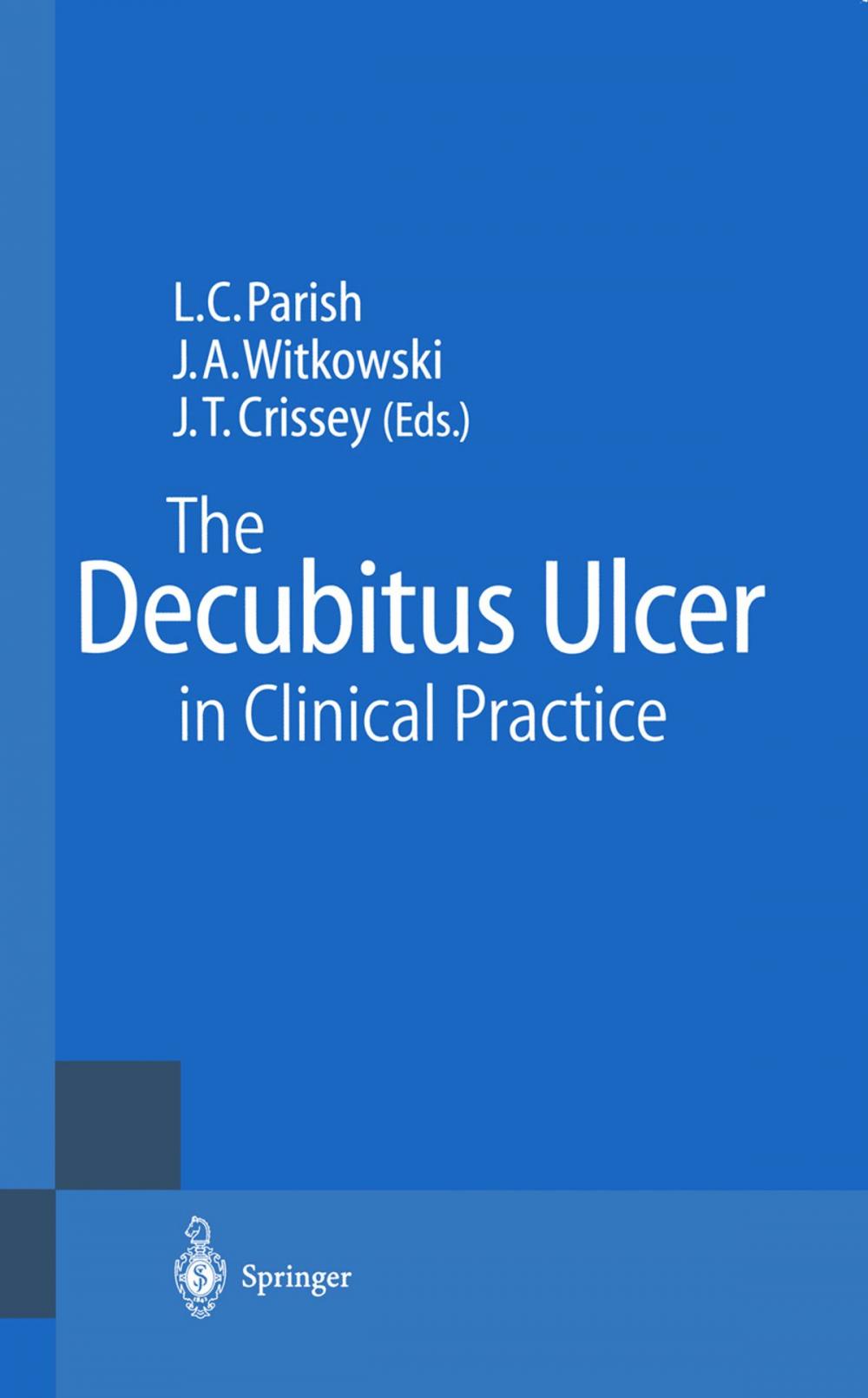 Big bigCover of The Decubitus Ulcer in Clinical Practice