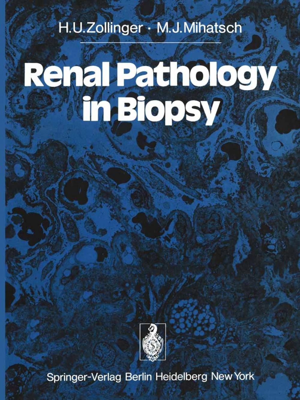 Big bigCover of Renal Pathology in Biopsy