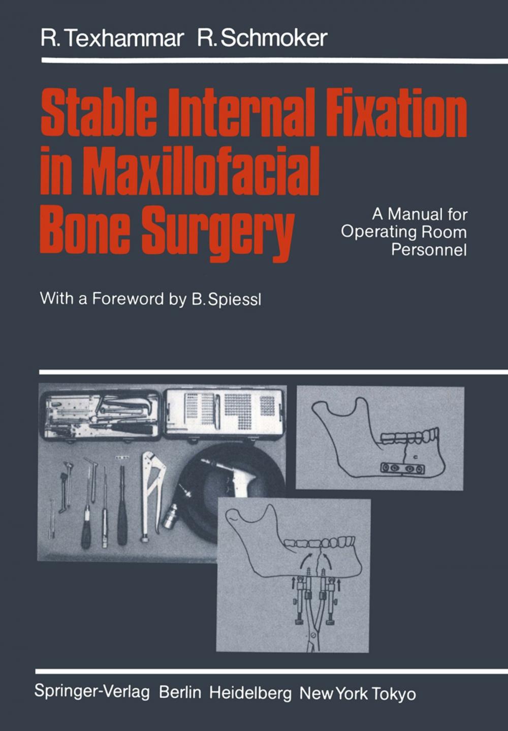 Big bigCover of Stable Internal Fixation in Maxillofacial Bone Surgery