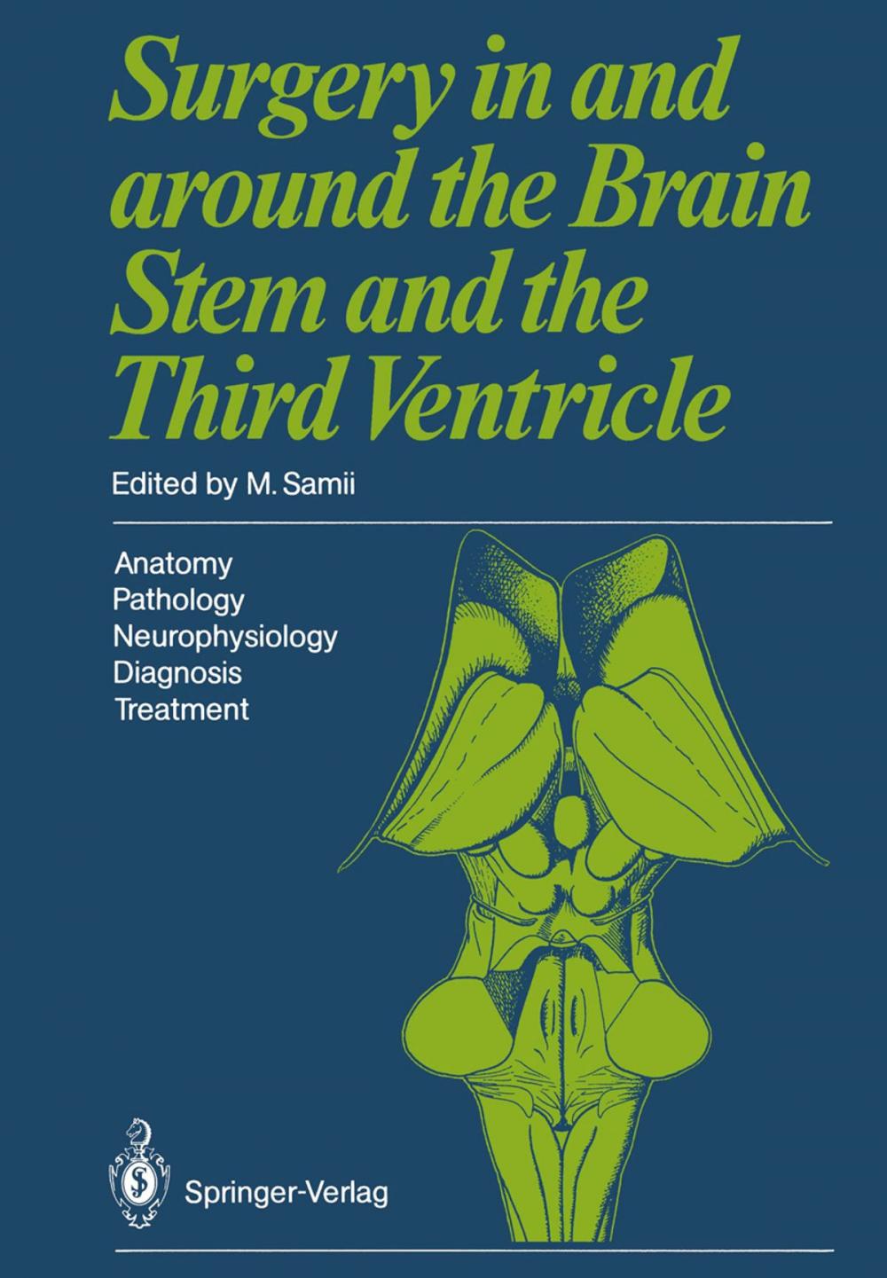 Big bigCover of Surgery in and around the Brain Stem and the Third Ventricle