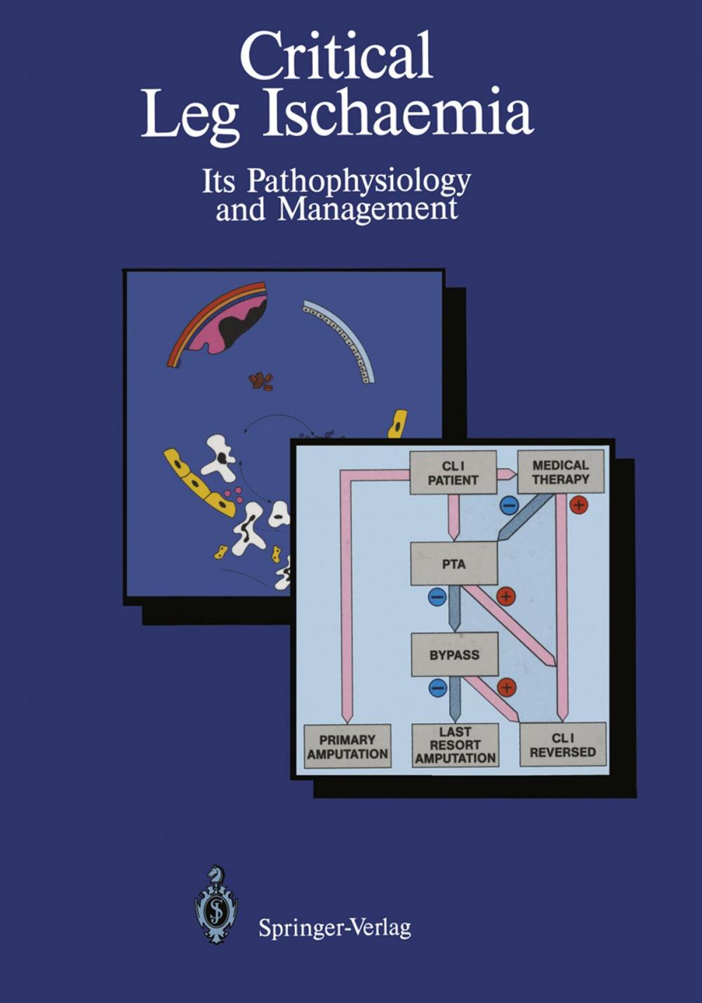 Big bigCover of Critical Leg Ischaemia