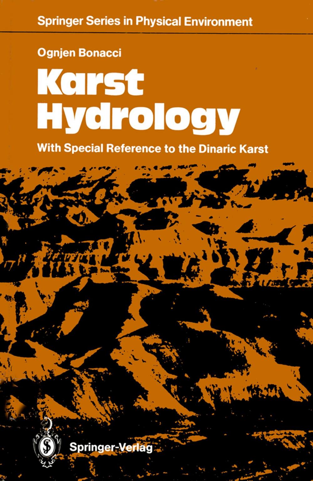 Big bigCover of Karst Hydrology