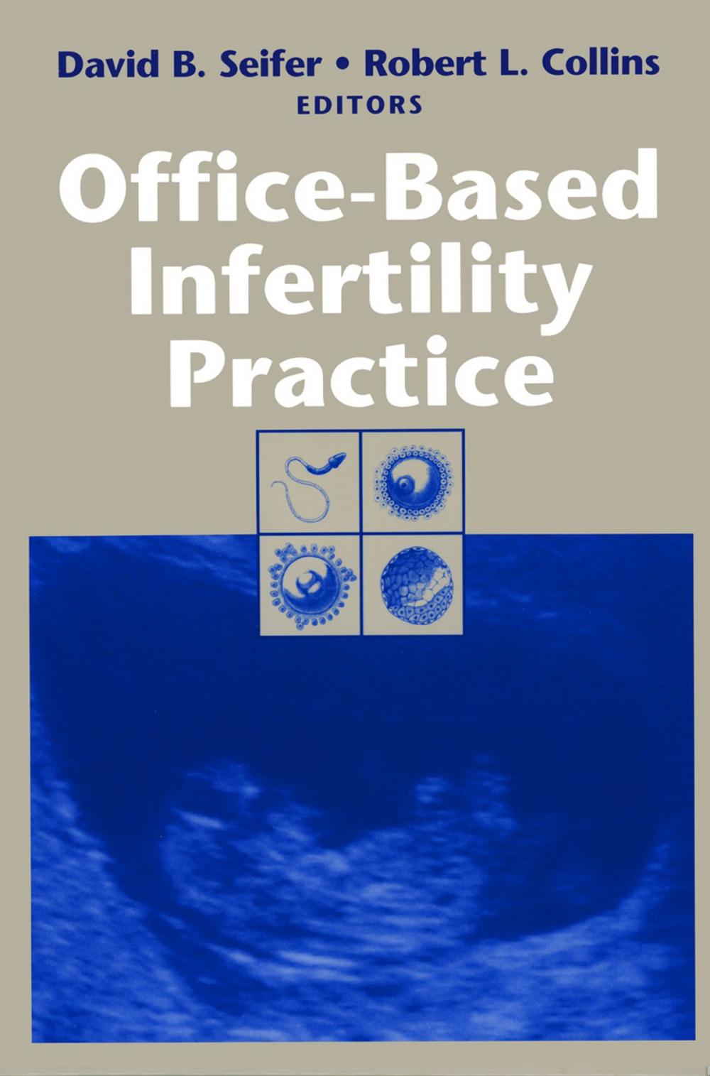 Big bigCover of Office-Based Infertility Practice