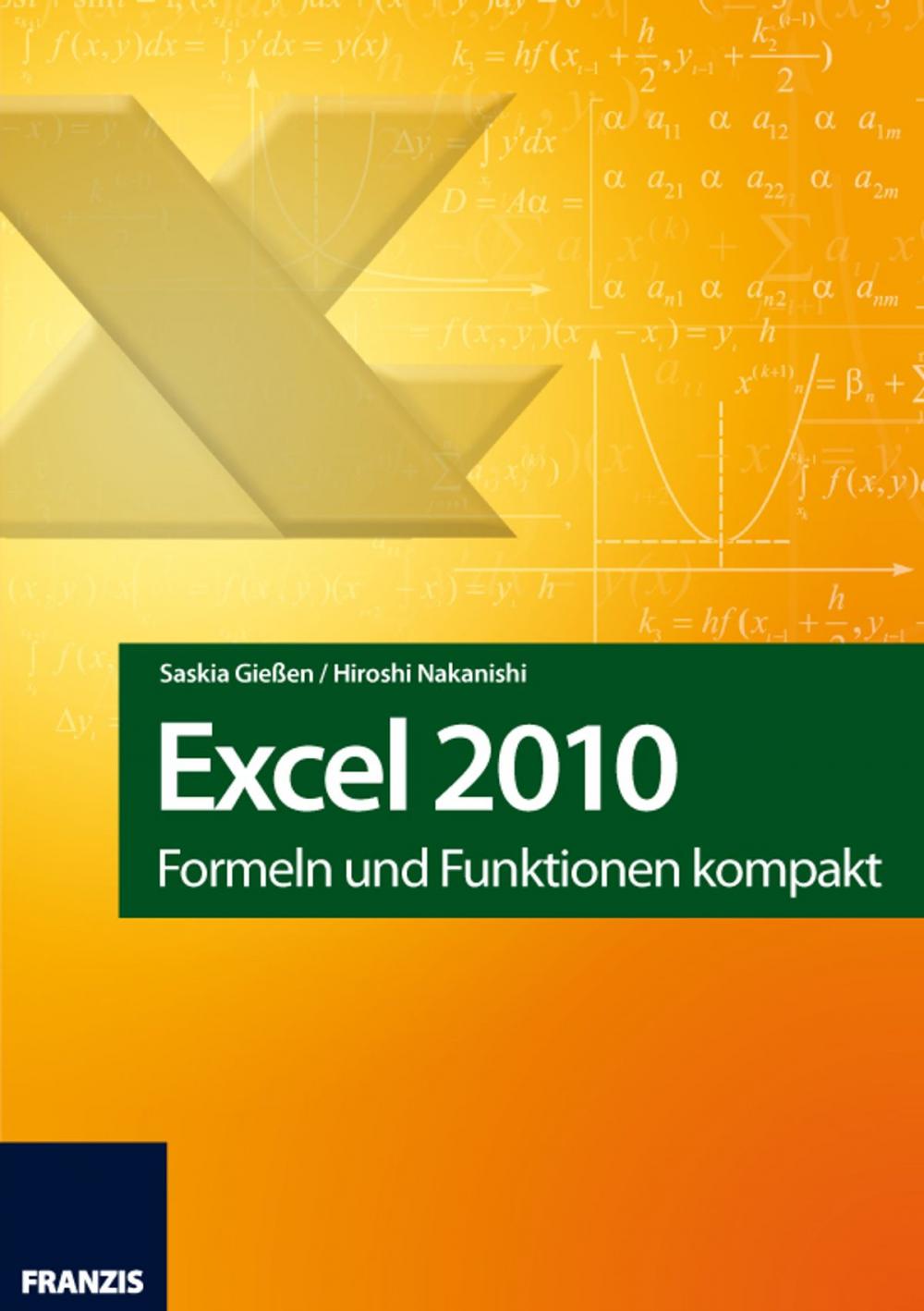 Big bigCover of Excel 2010
