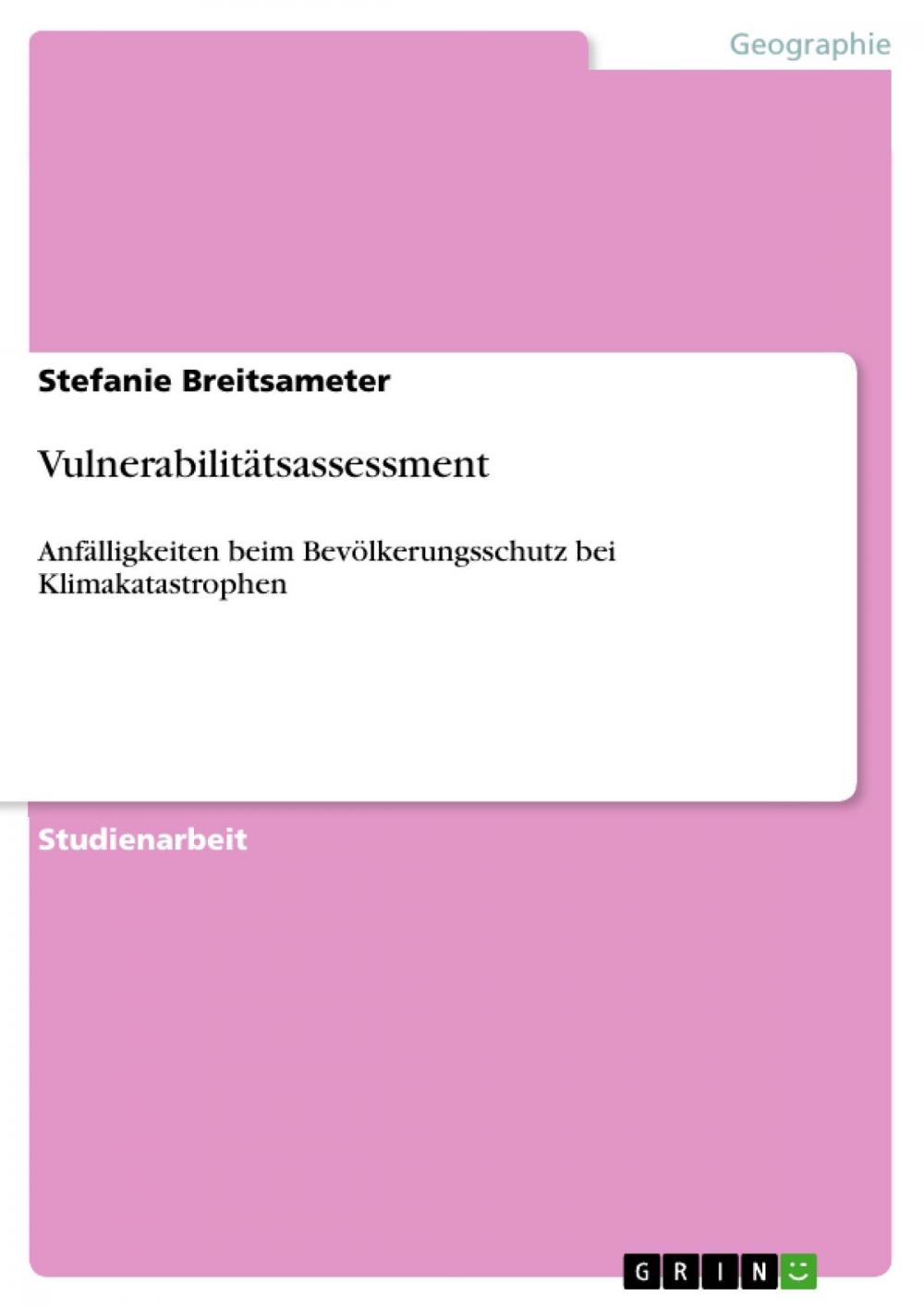 Big bigCover of Vulnerabilitätsassessment