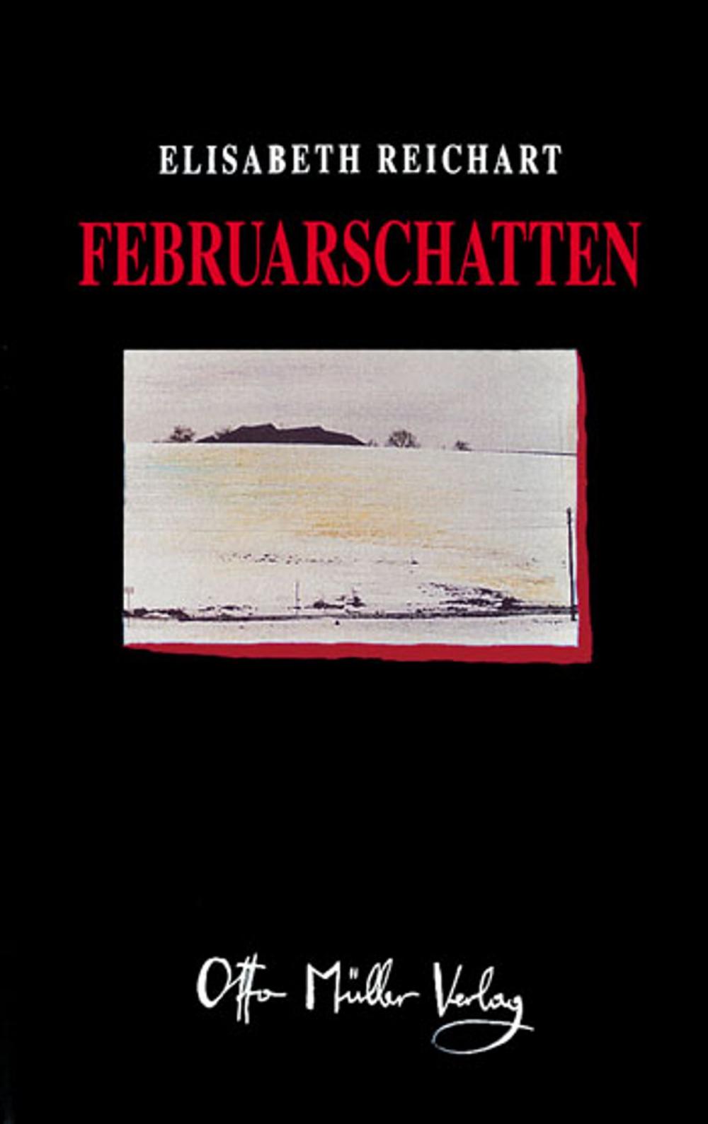 Big bigCover of Februarschatten