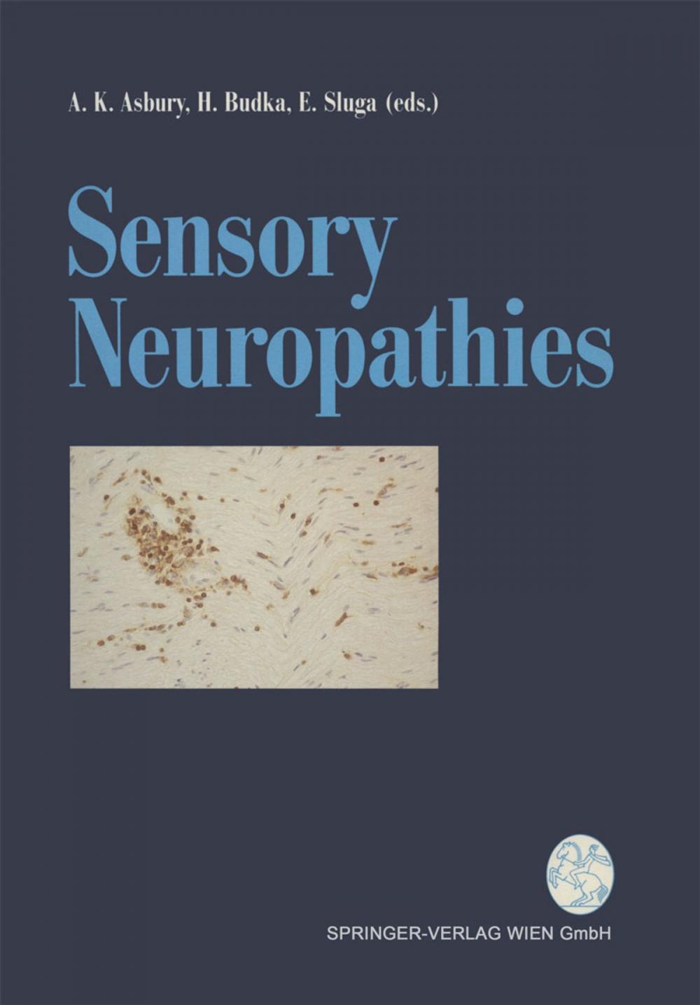 Big bigCover of Sensory Neuropathies