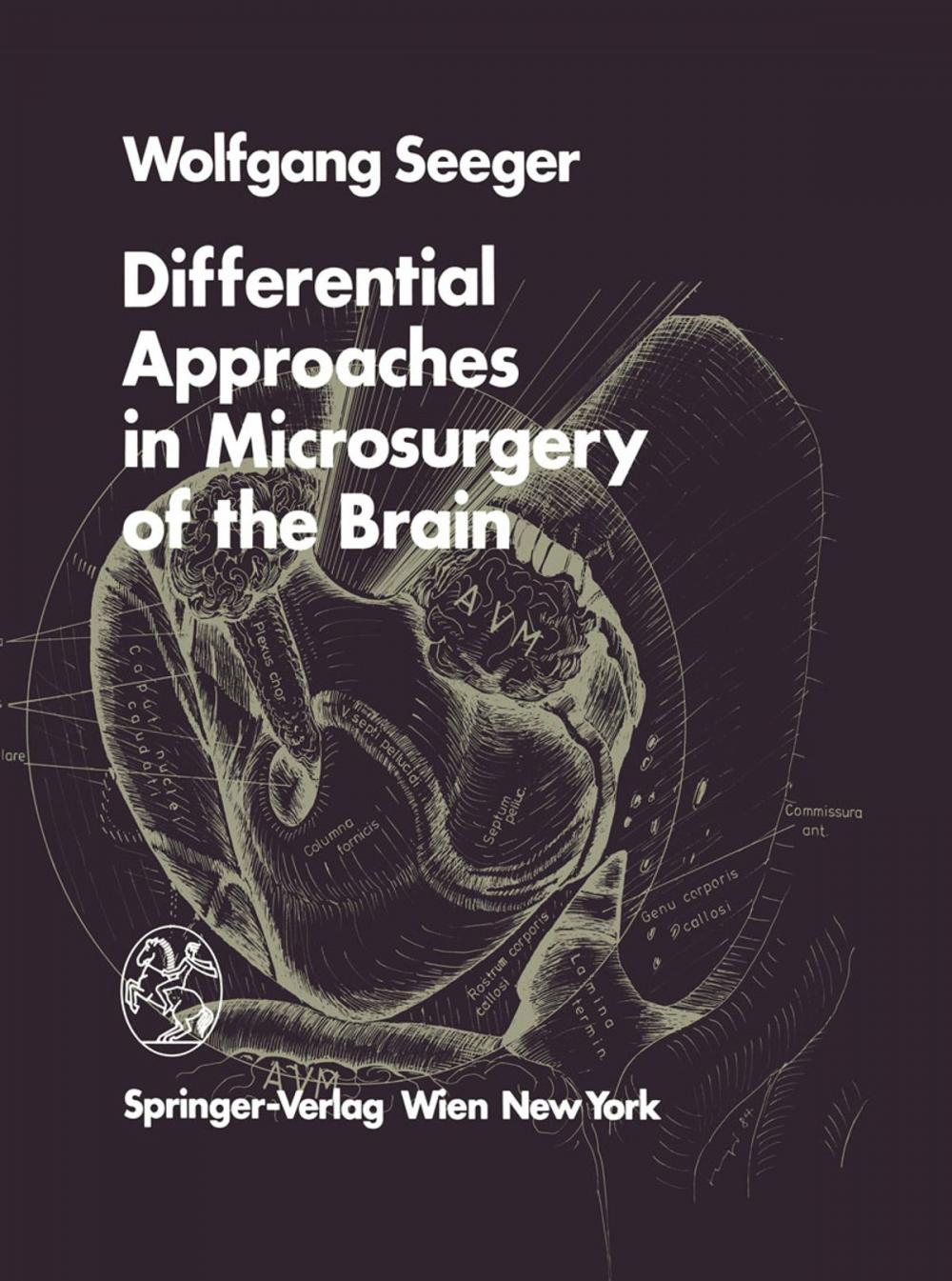 Big bigCover of Differential Approaches in Microsurgery of the Brain