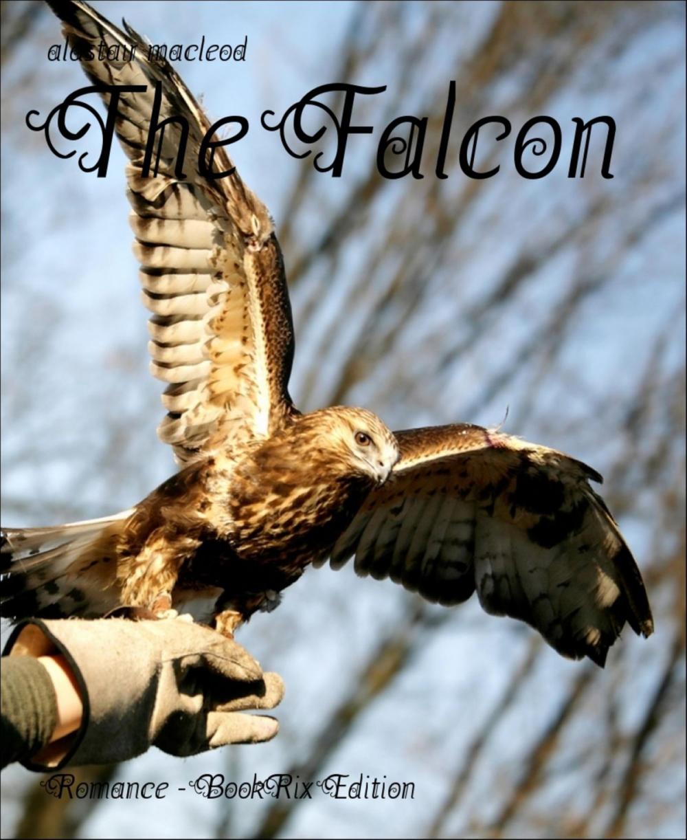 Big bigCover of The Falcon