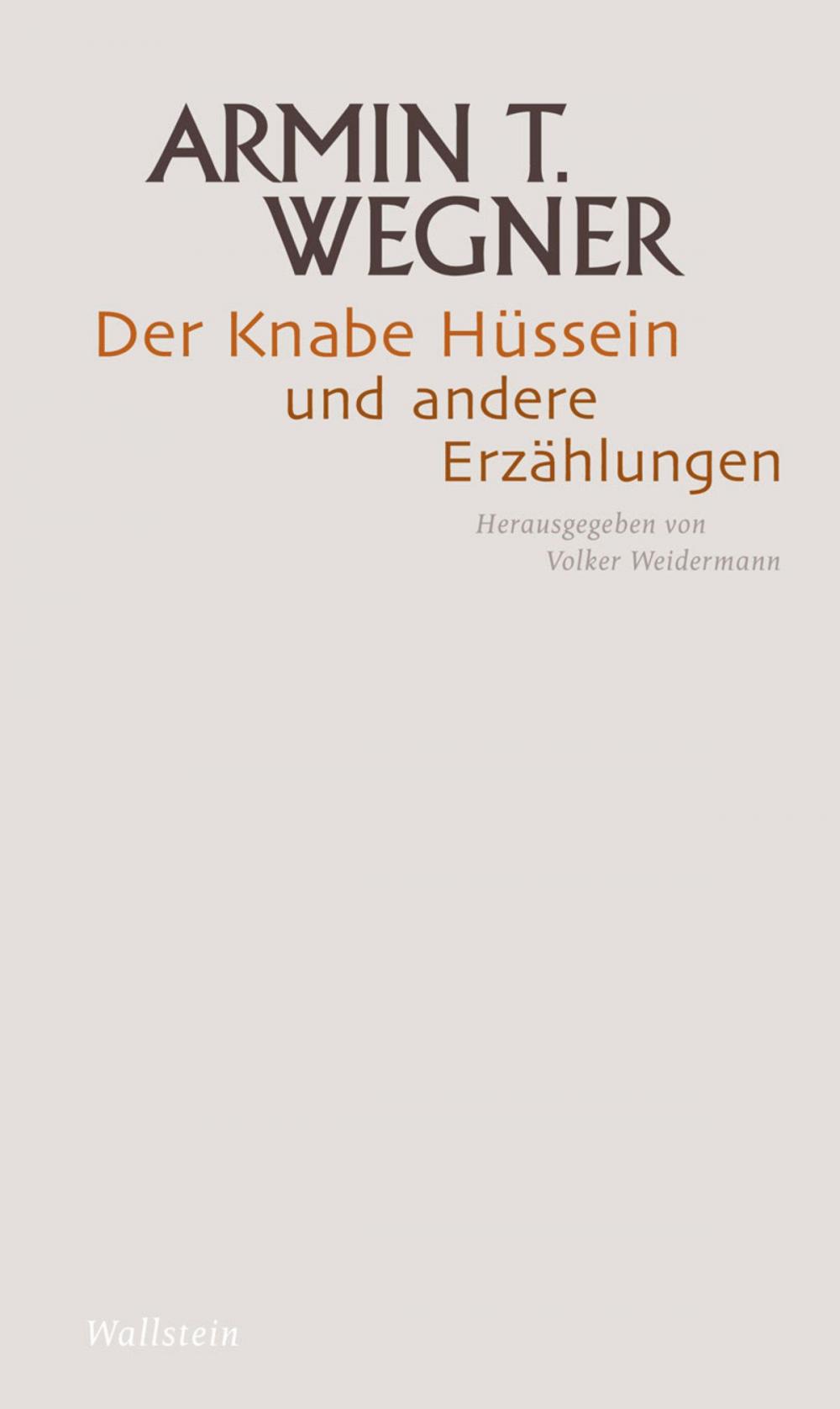 Big bigCover of Der Knabe Hüssein und andere Erzählungen