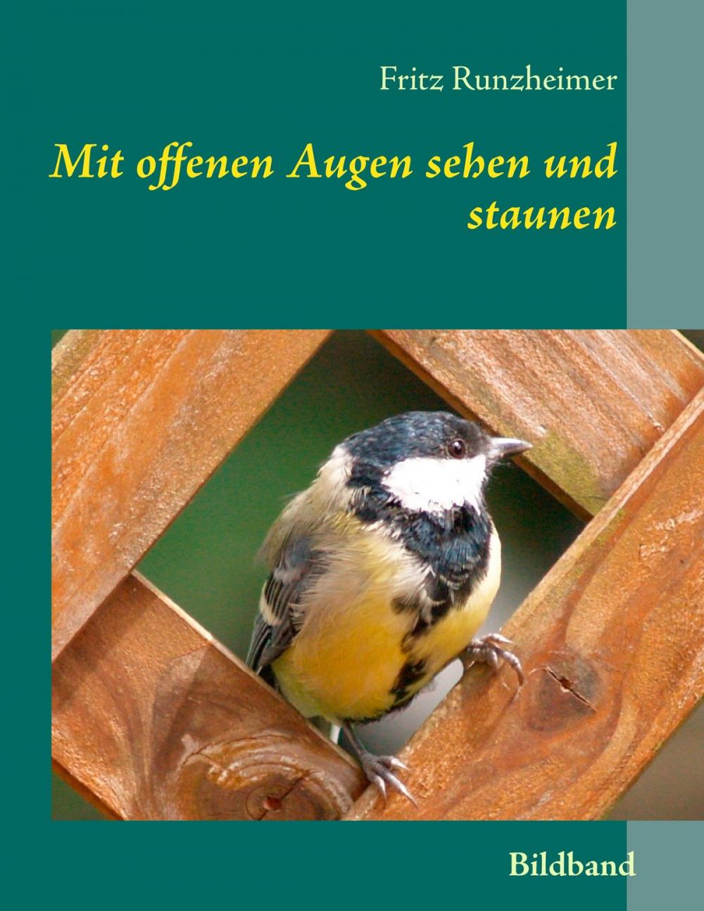 Big bigCover of Mit offenen Augen sehen und staunen