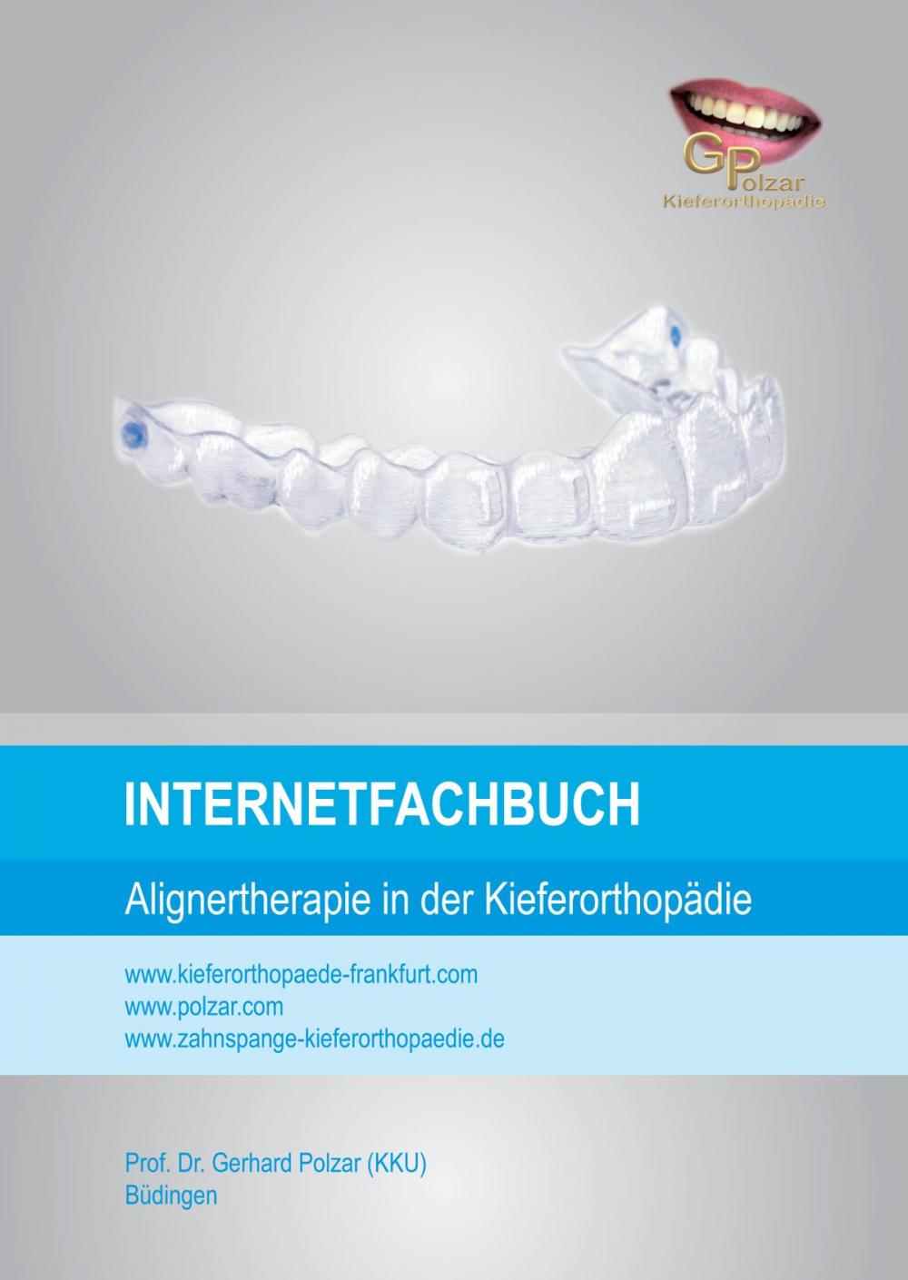 Big bigCover of Internetfachbuch