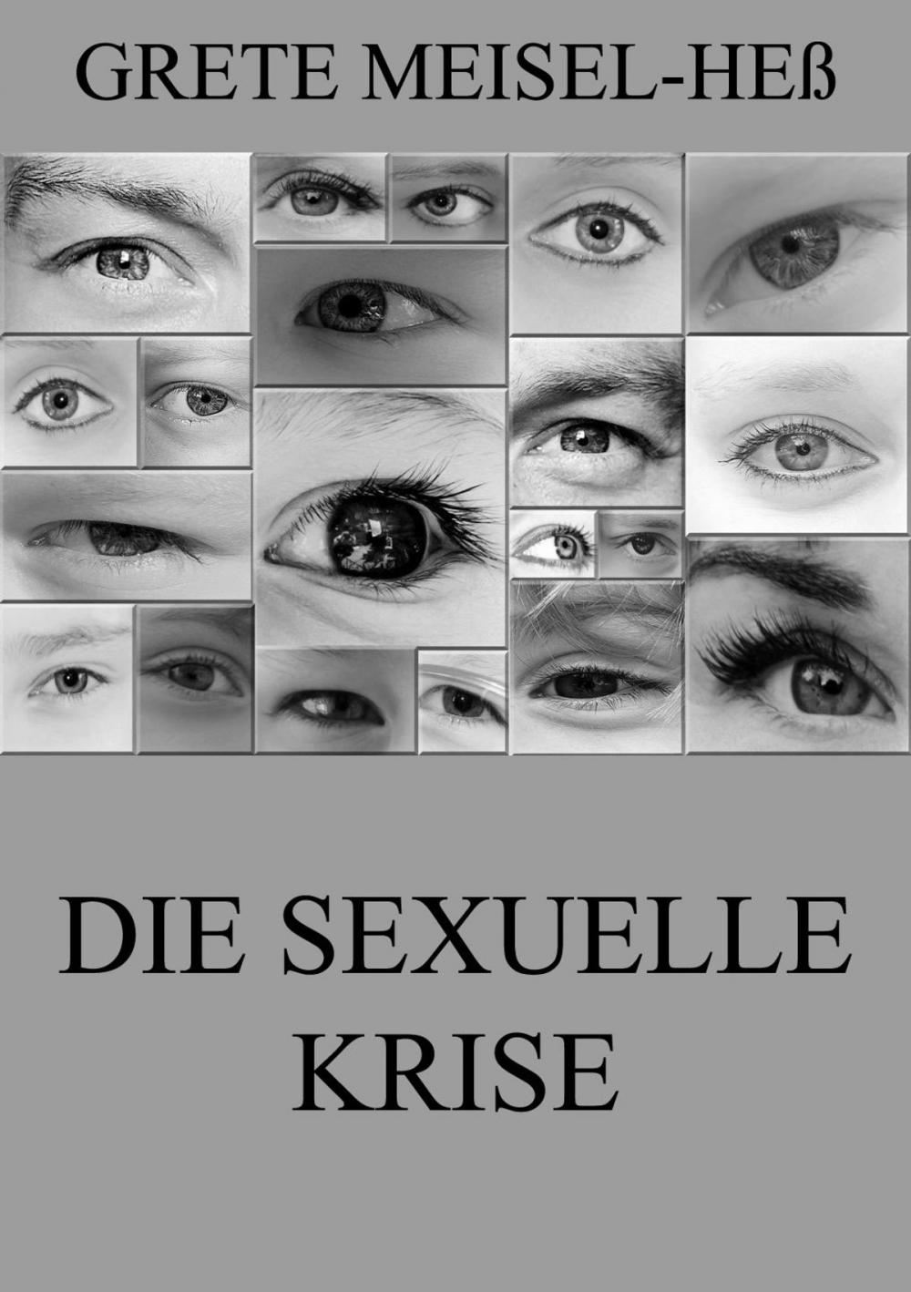 Big bigCover of Die sexuelle Krise