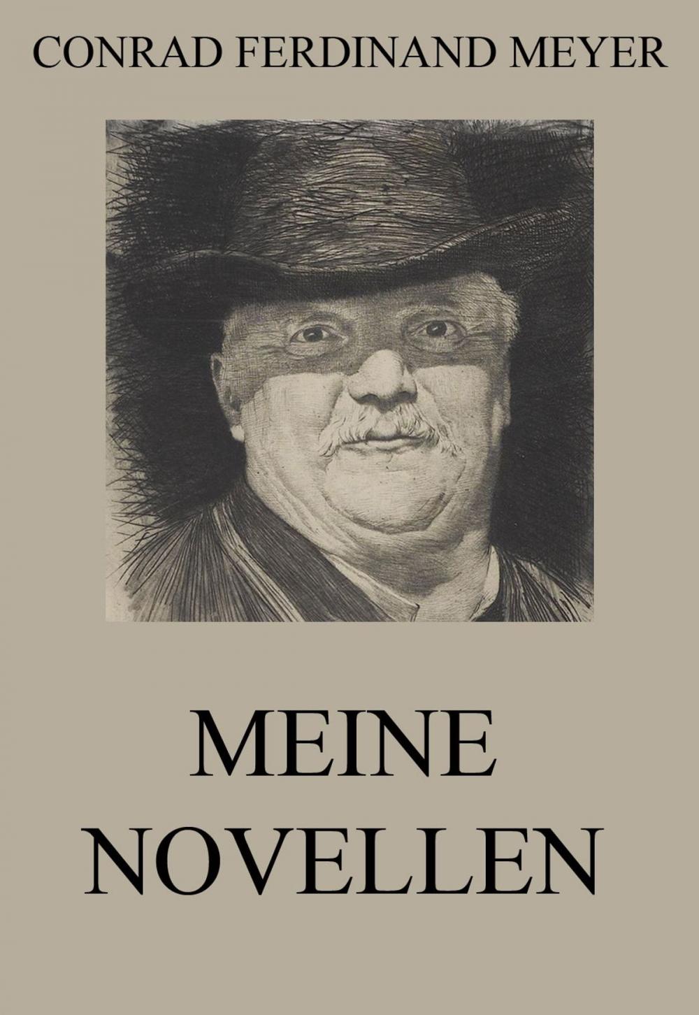 Big bigCover of Meine Novellen