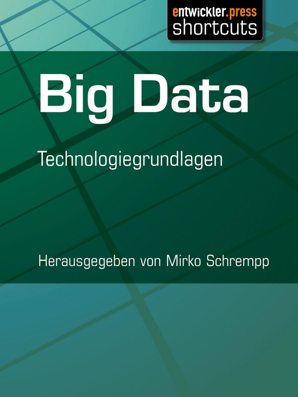 Big bigCover of Big Data