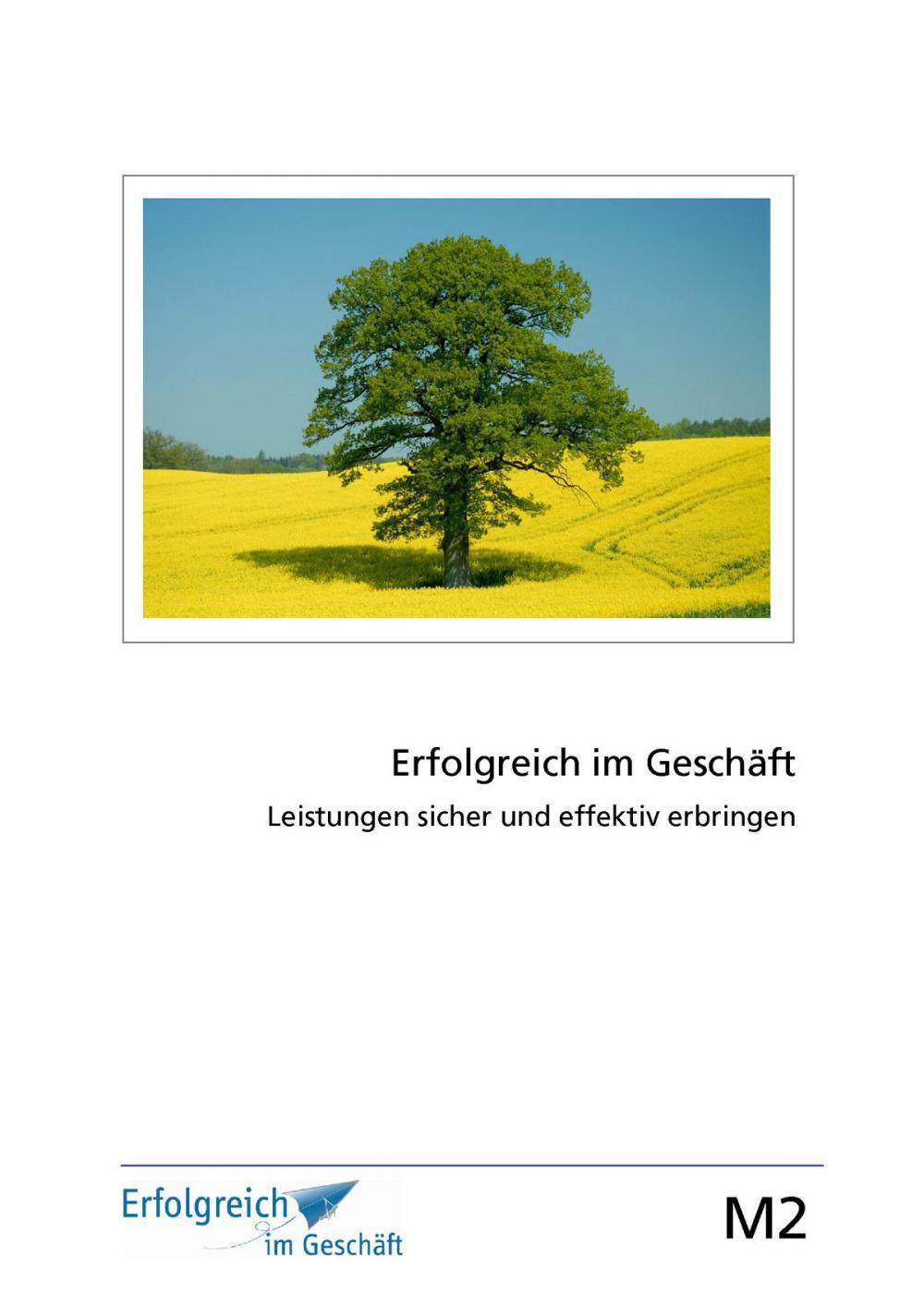 Big bigCover of Modul 2: Leistungen sicher und effektiv erbringen