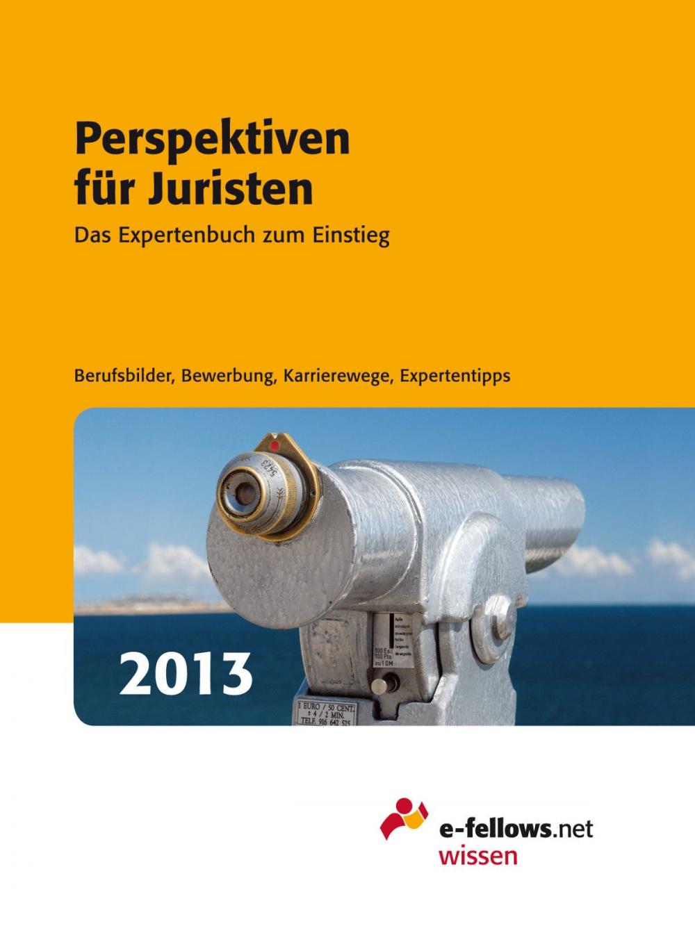 Big bigCover of Perspektiven für Juristen 2013