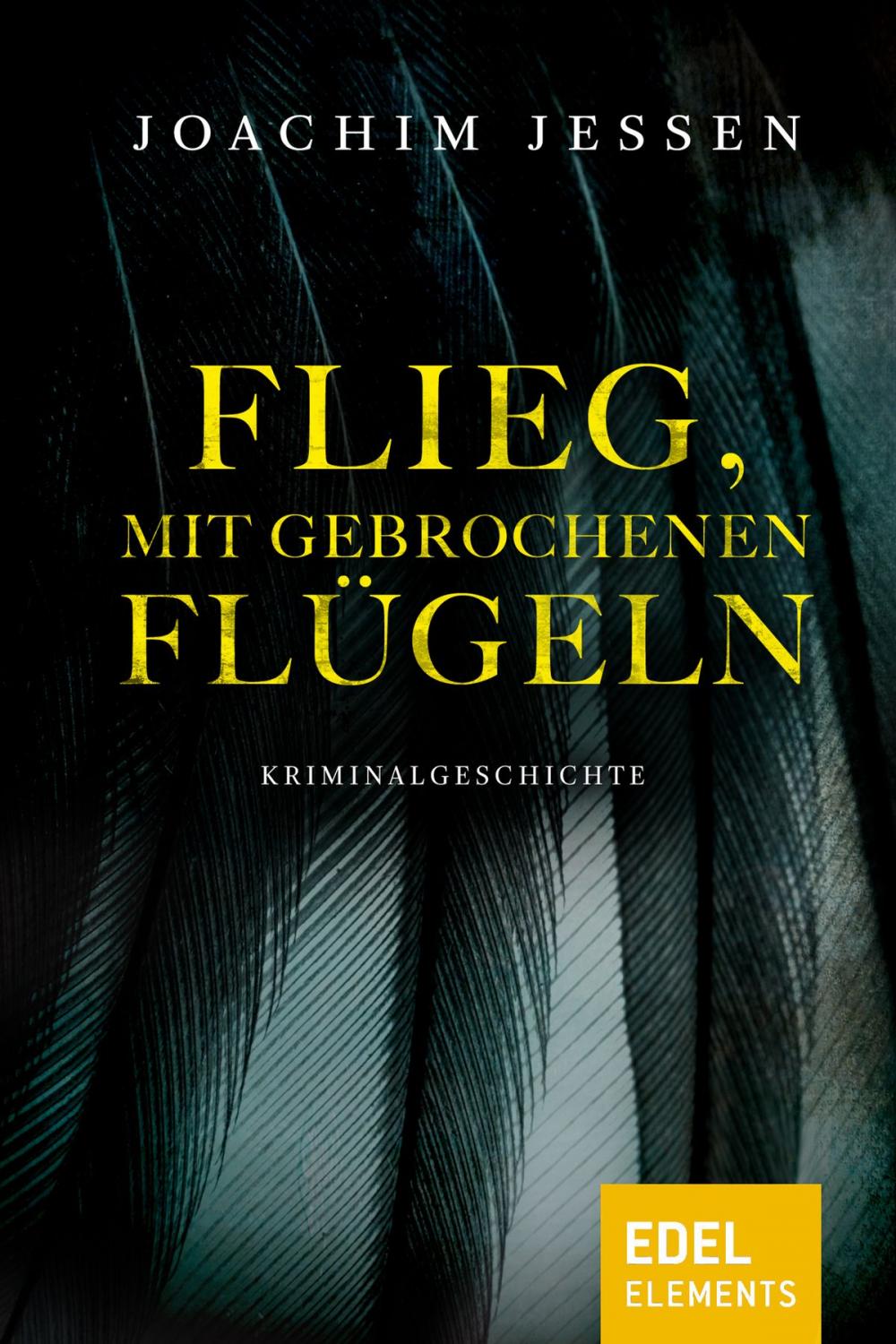 Big bigCover of Flieg, mit gebrochenen Flügeln