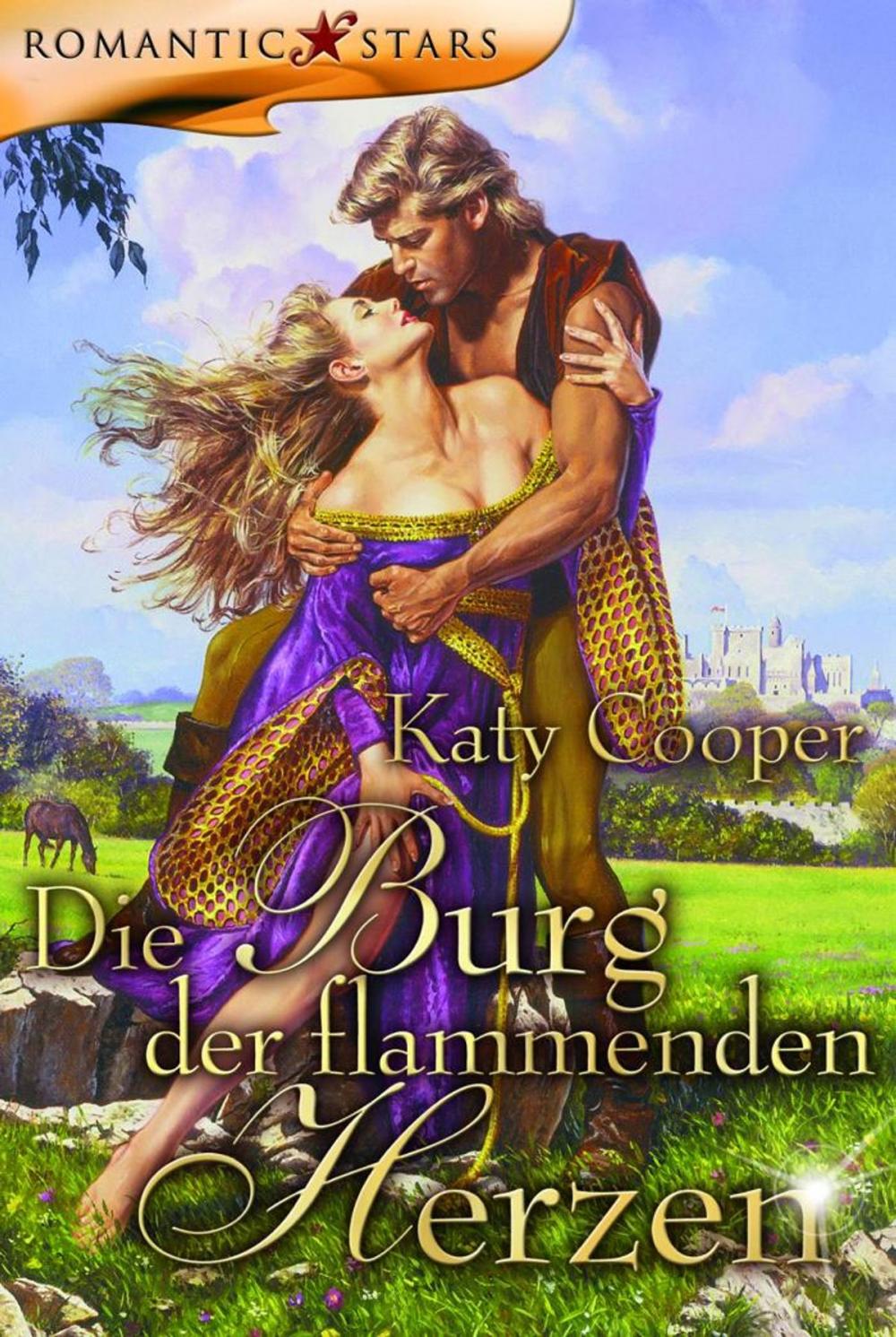 Big bigCover of Die Burg der flammenden Herzen