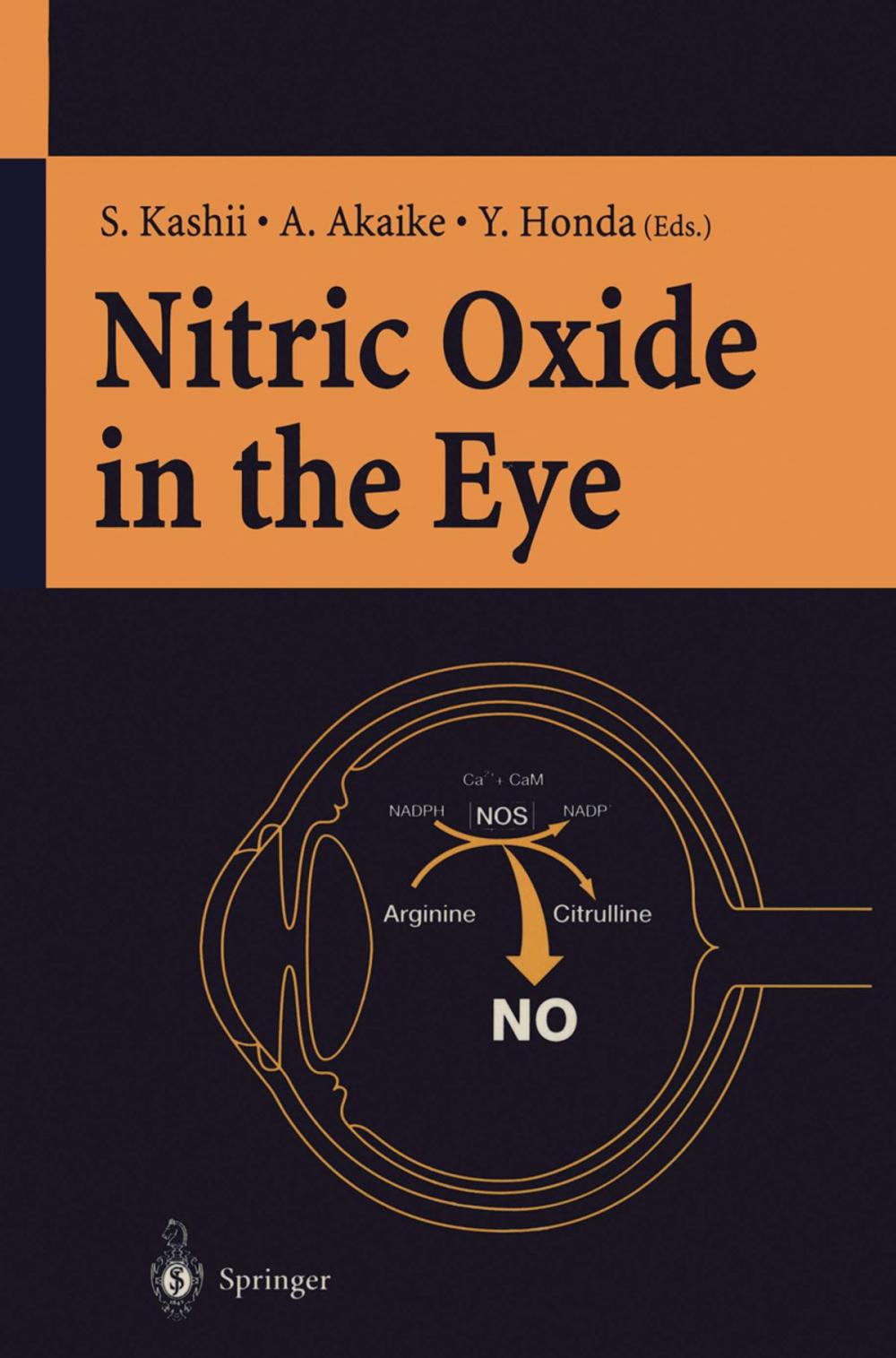 Big bigCover of Nitric Oxide in the Eye