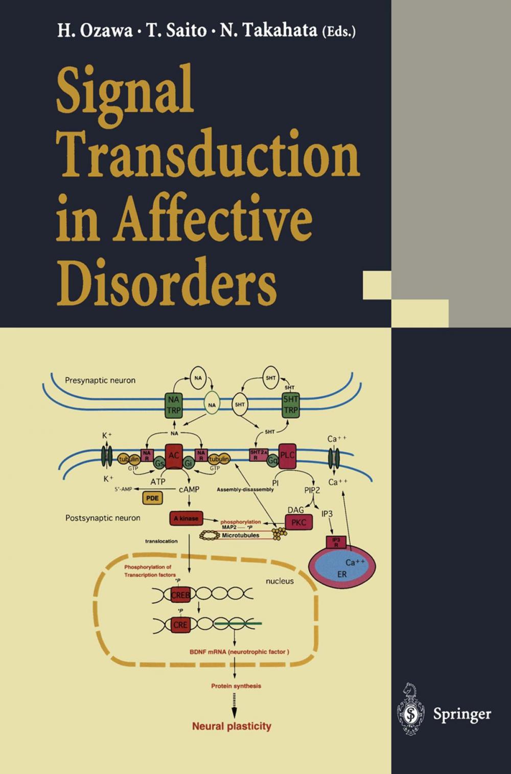 Big bigCover of Signal Transduction in Affective Disorders