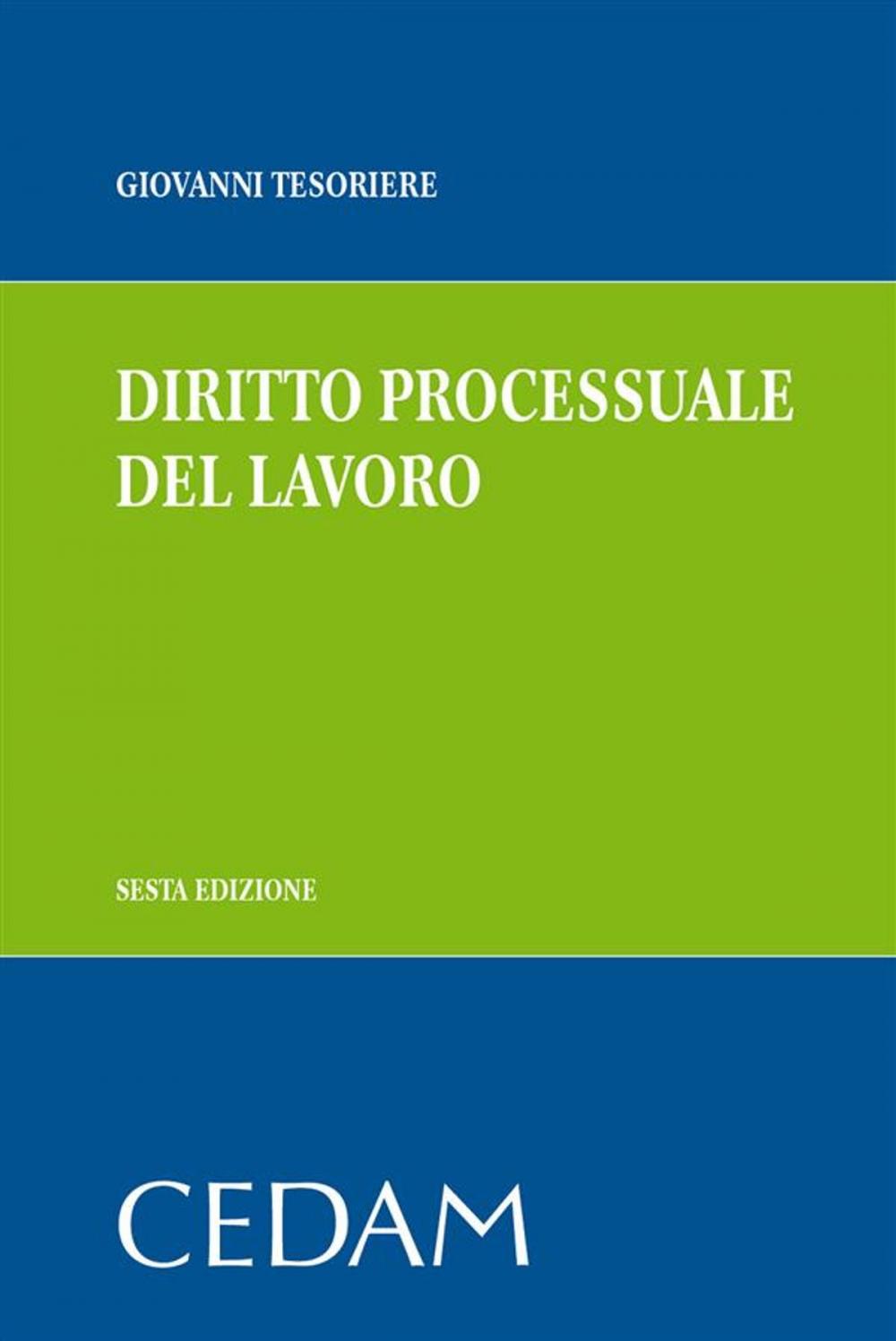 Big bigCover of Diritto processuale del lavoro