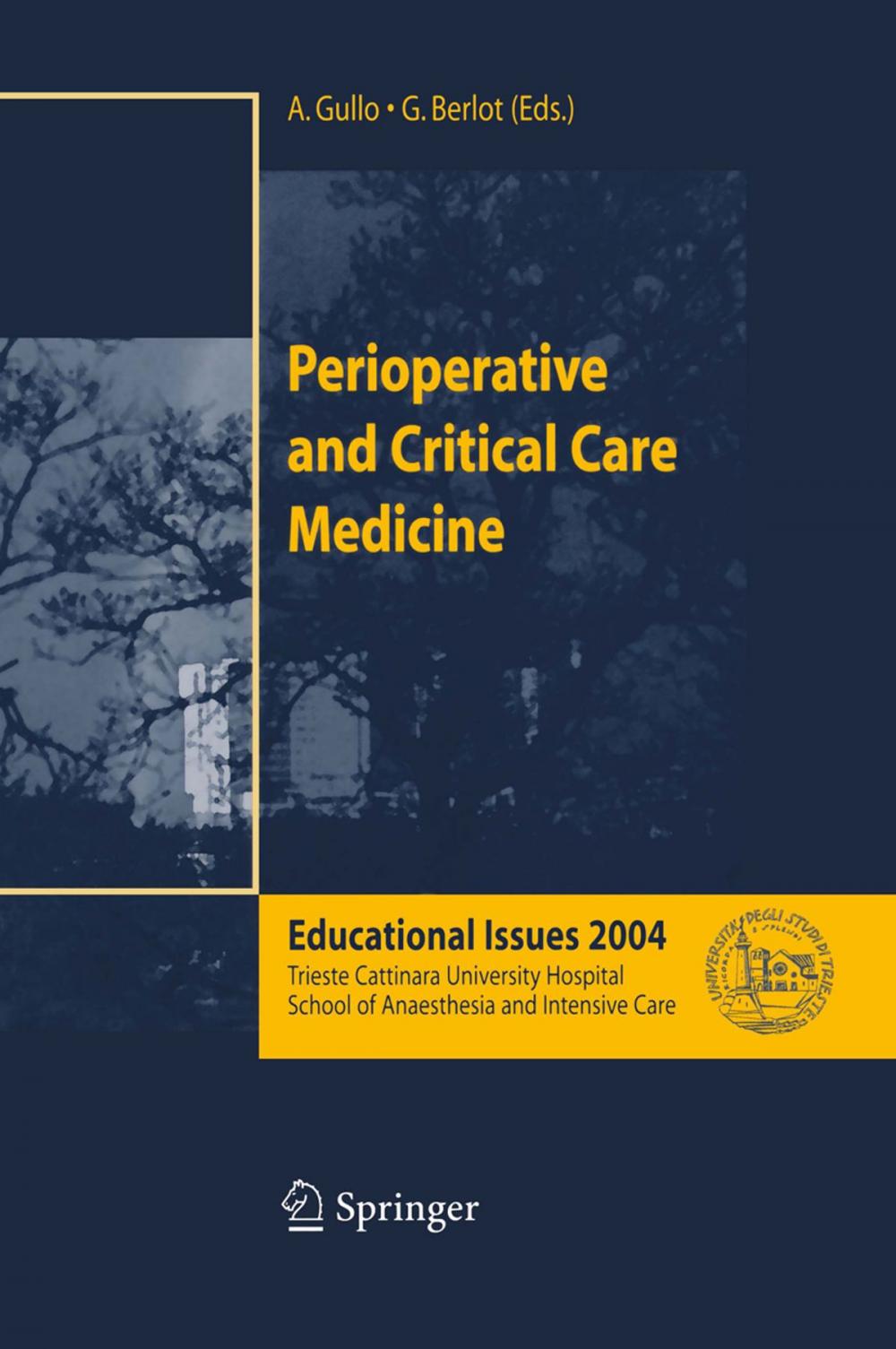 Big bigCover of Perioperative and Critical Care Medicine