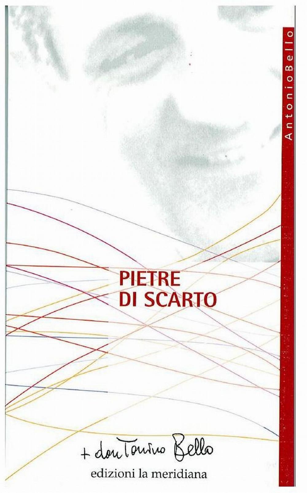 Big bigCover of Pietre di scarto. Pagine sulla marginalità