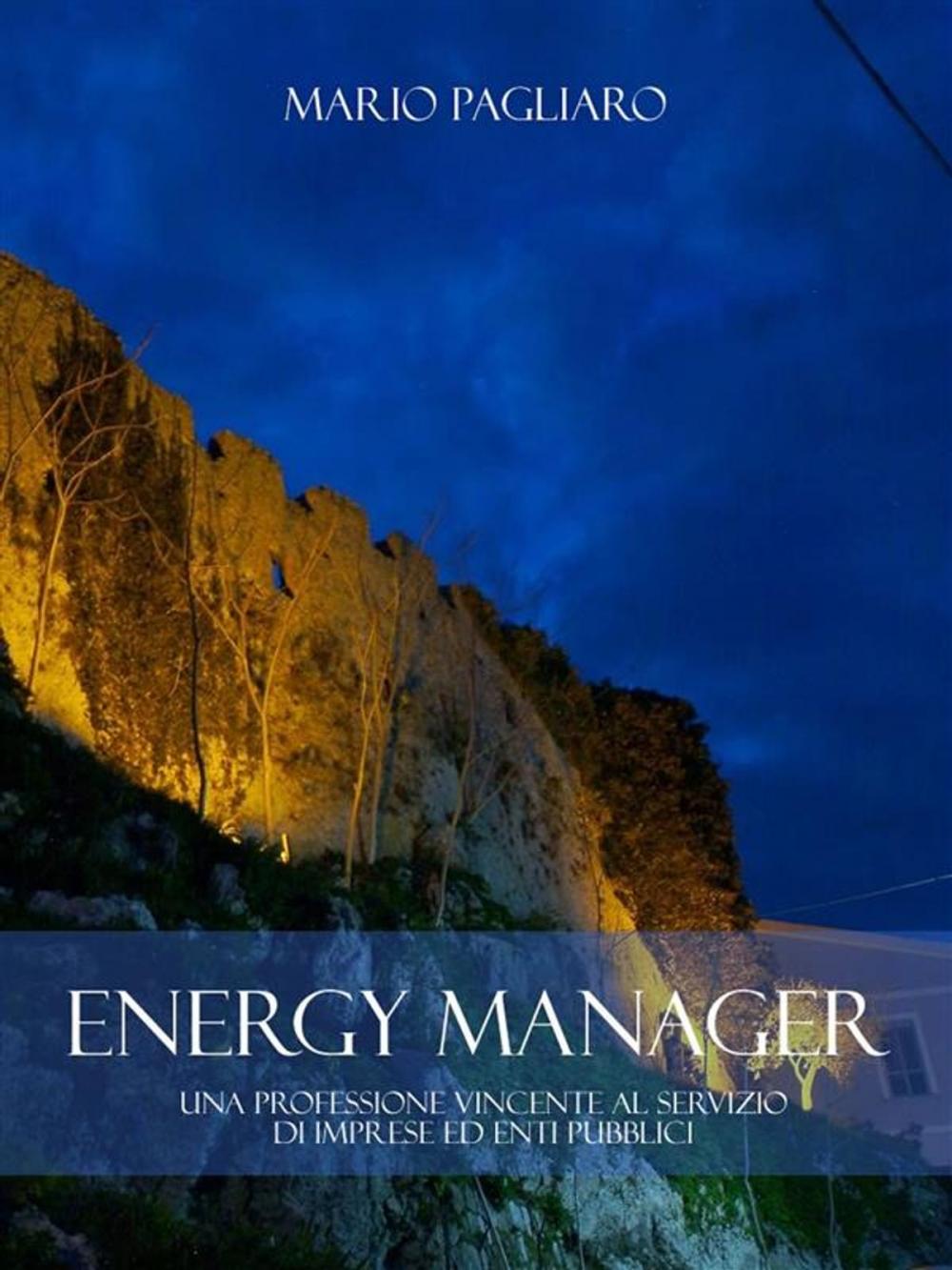 Big bigCover of Energy manager: Una professione vincente al servizio di imprese ed enti pubblici