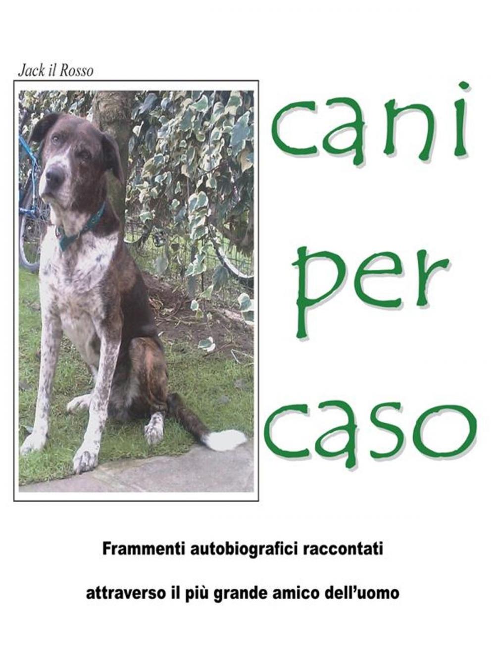 Big bigCover of Cani Per Caso