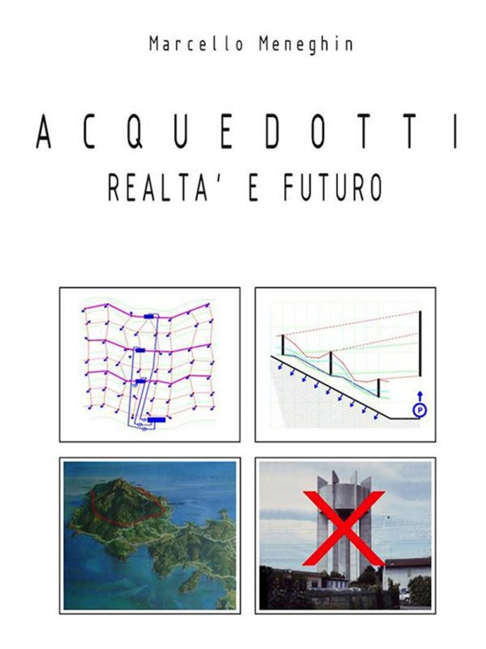 Big bigCover of Acquedotti realtà e futuro